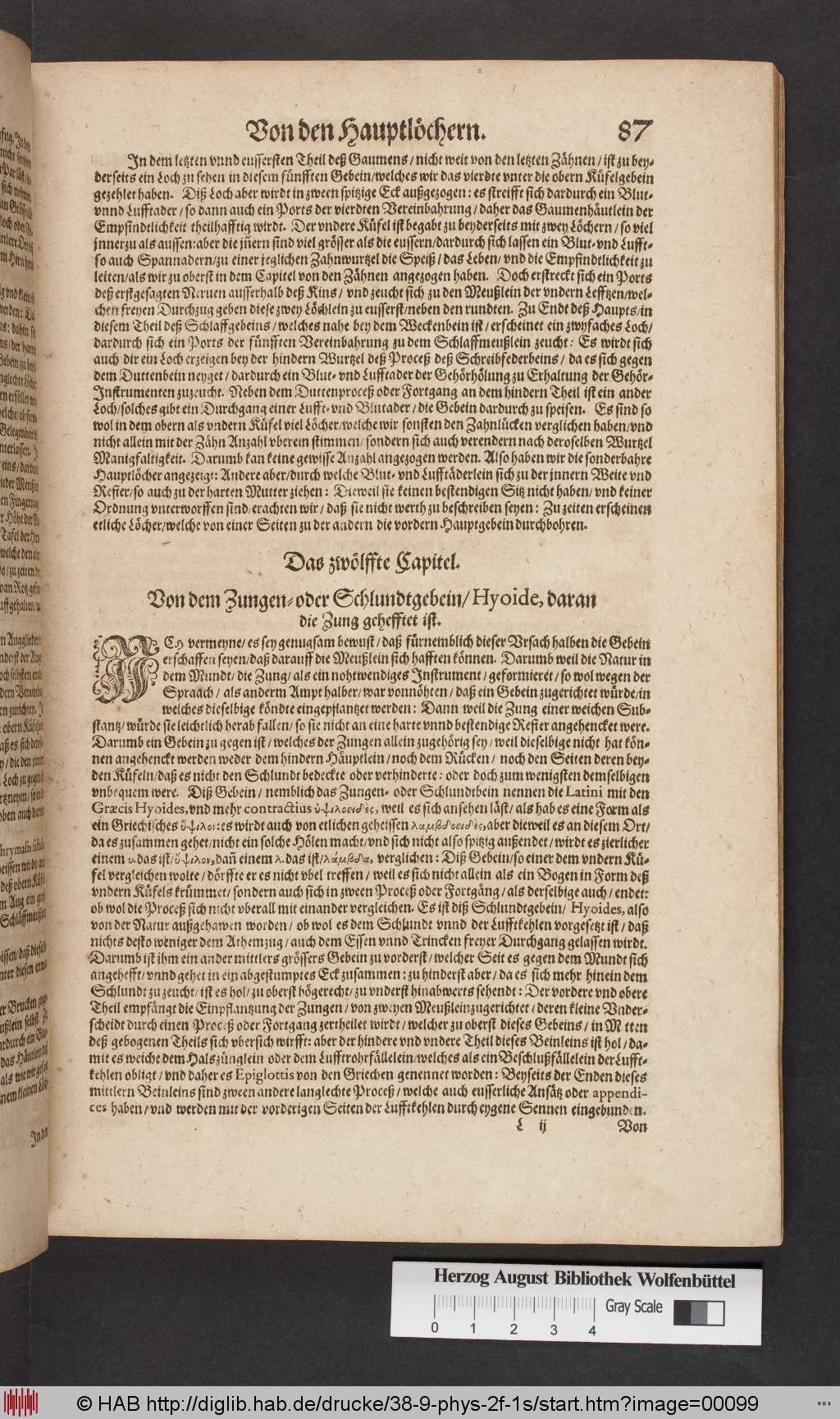 http://diglib.hab.de/drucke/38-9-phys-2f-1s/00099.jpg