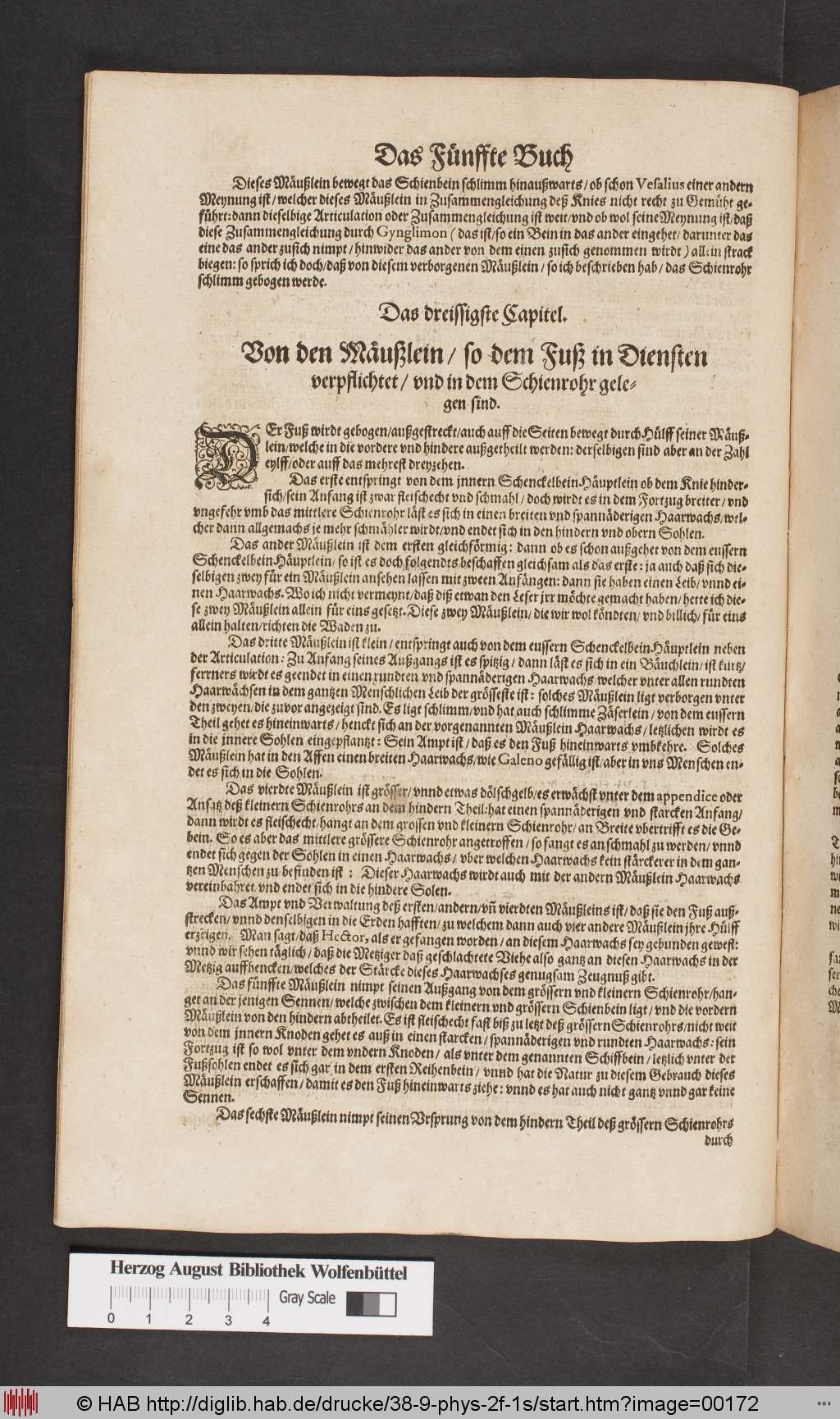 http://diglib.hab.de/drucke/38-9-phys-2f-1s/00172.jpg