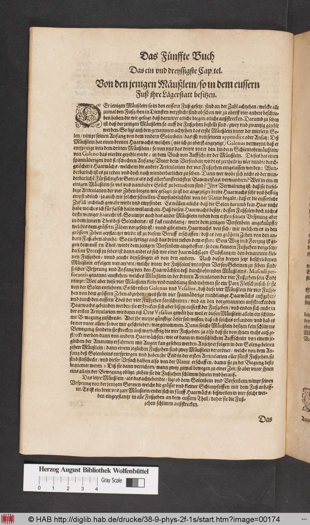 http://diglib.hab.de/drucke/38-9-phys-2f-1s/00174.jpg