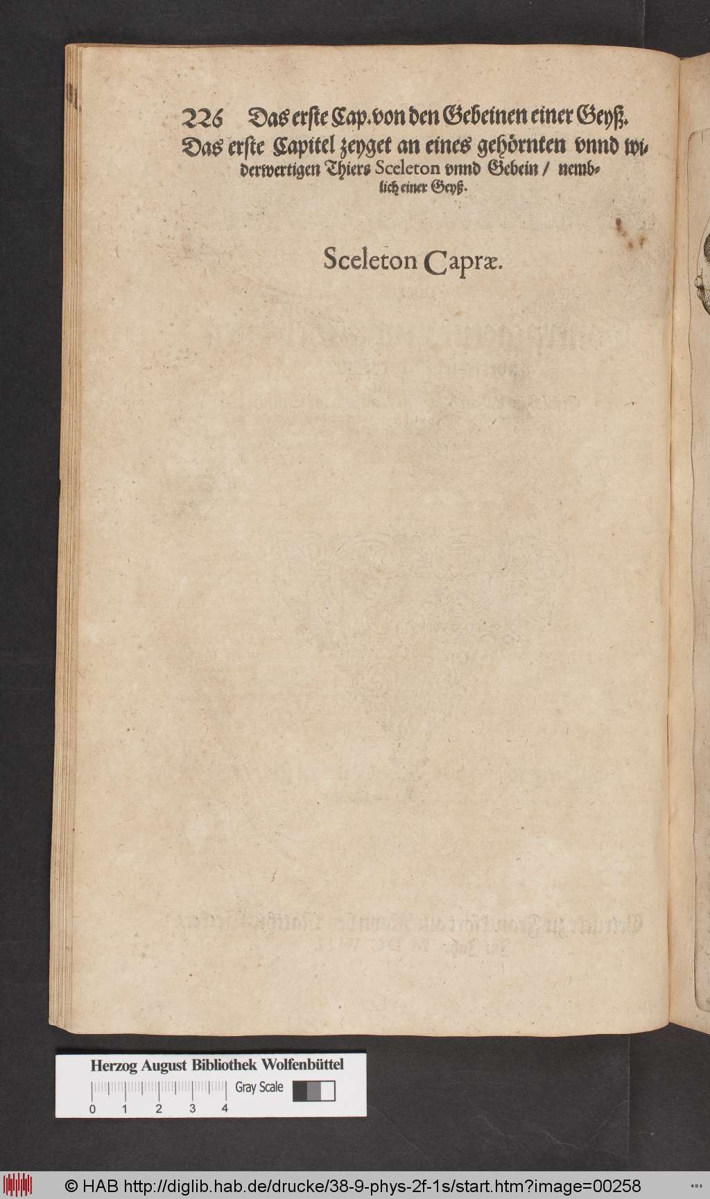 http://diglib.hab.de/drucke/38-9-phys-2f-1s/00258.jpg