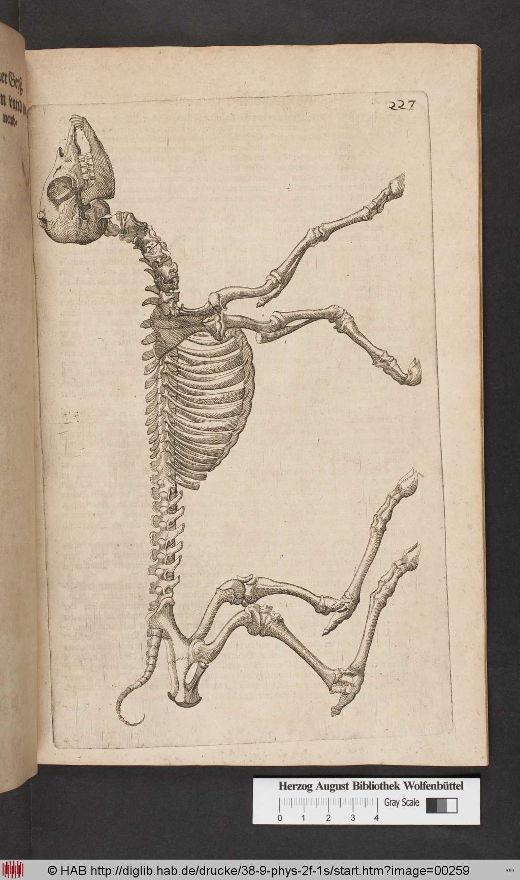http://diglib.hab.de/drucke/38-9-phys-2f-1s/00259.jpg