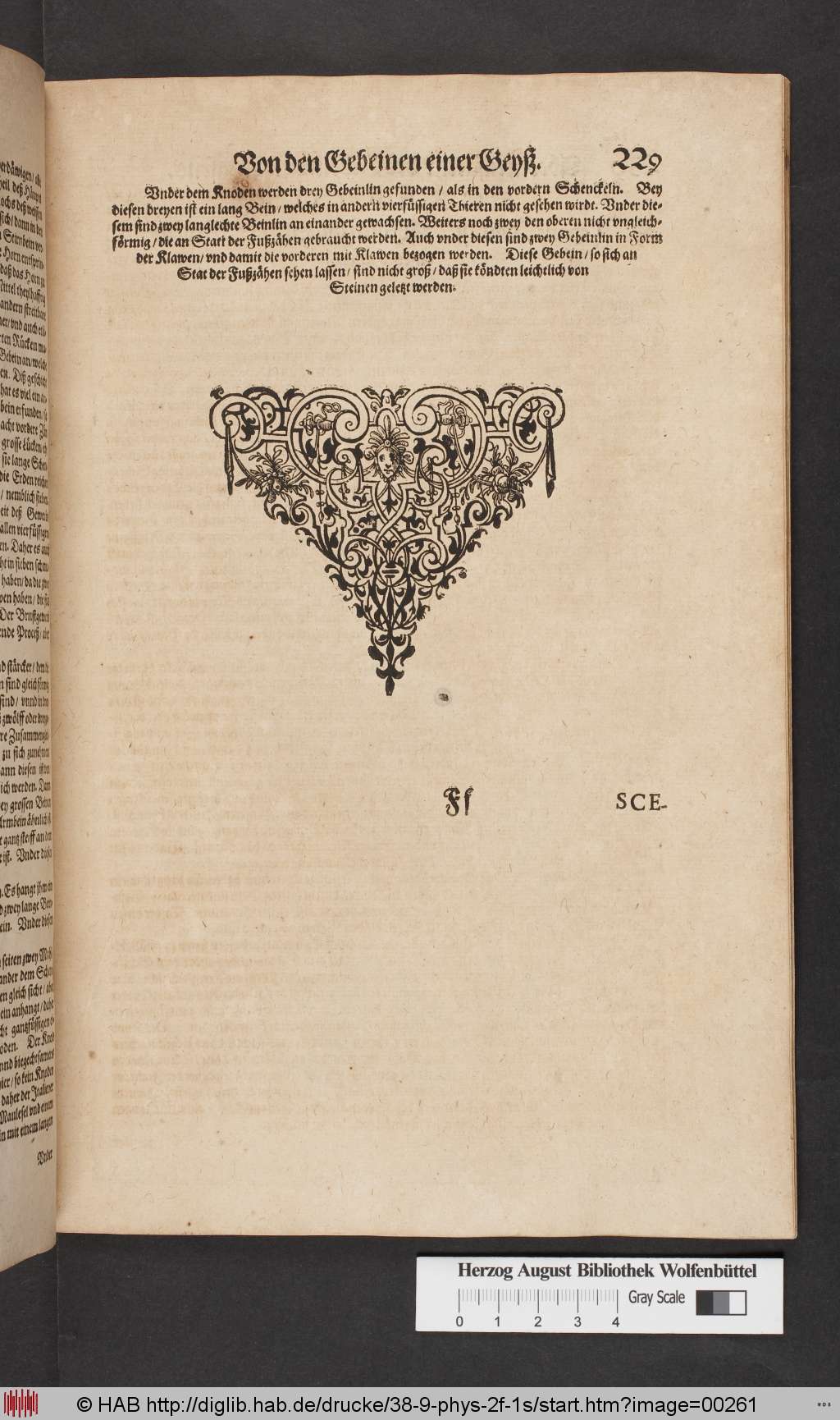 http://diglib.hab.de/drucke/38-9-phys-2f-1s/00261.jpg