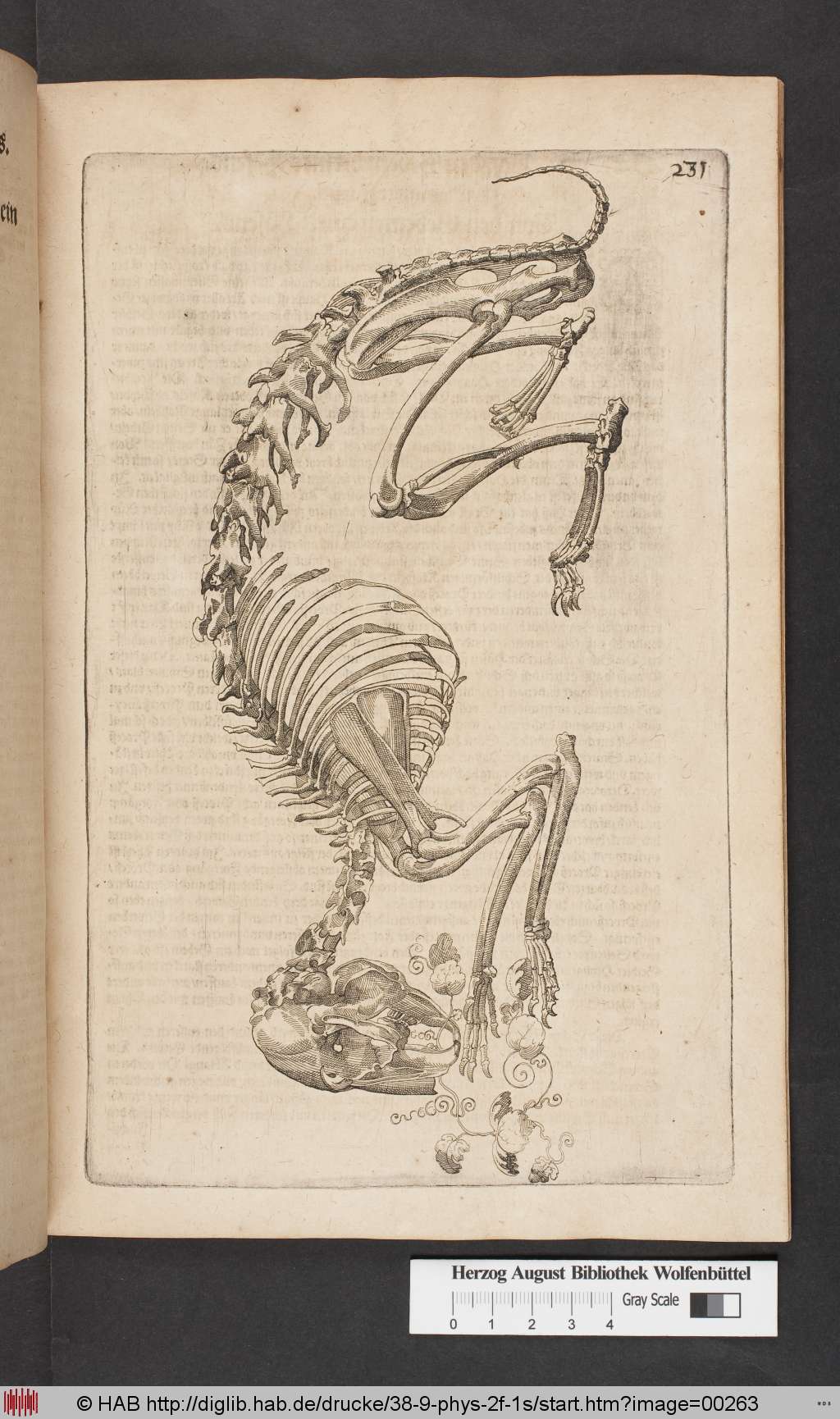 http://diglib.hab.de/drucke/38-9-phys-2f-1s/00263.jpg
