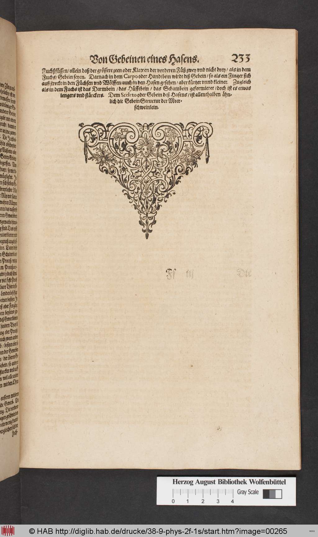 http://diglib.hab.de/drucke/38-9-phys-2f-1s/00265.jpg