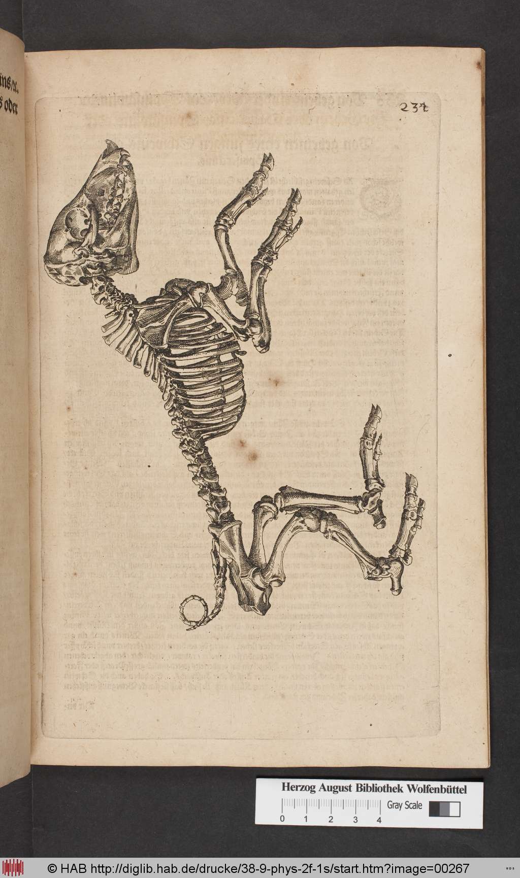 http://diglib.hab.de/drucke/38-9-phys-2f-1s/00267.jpg