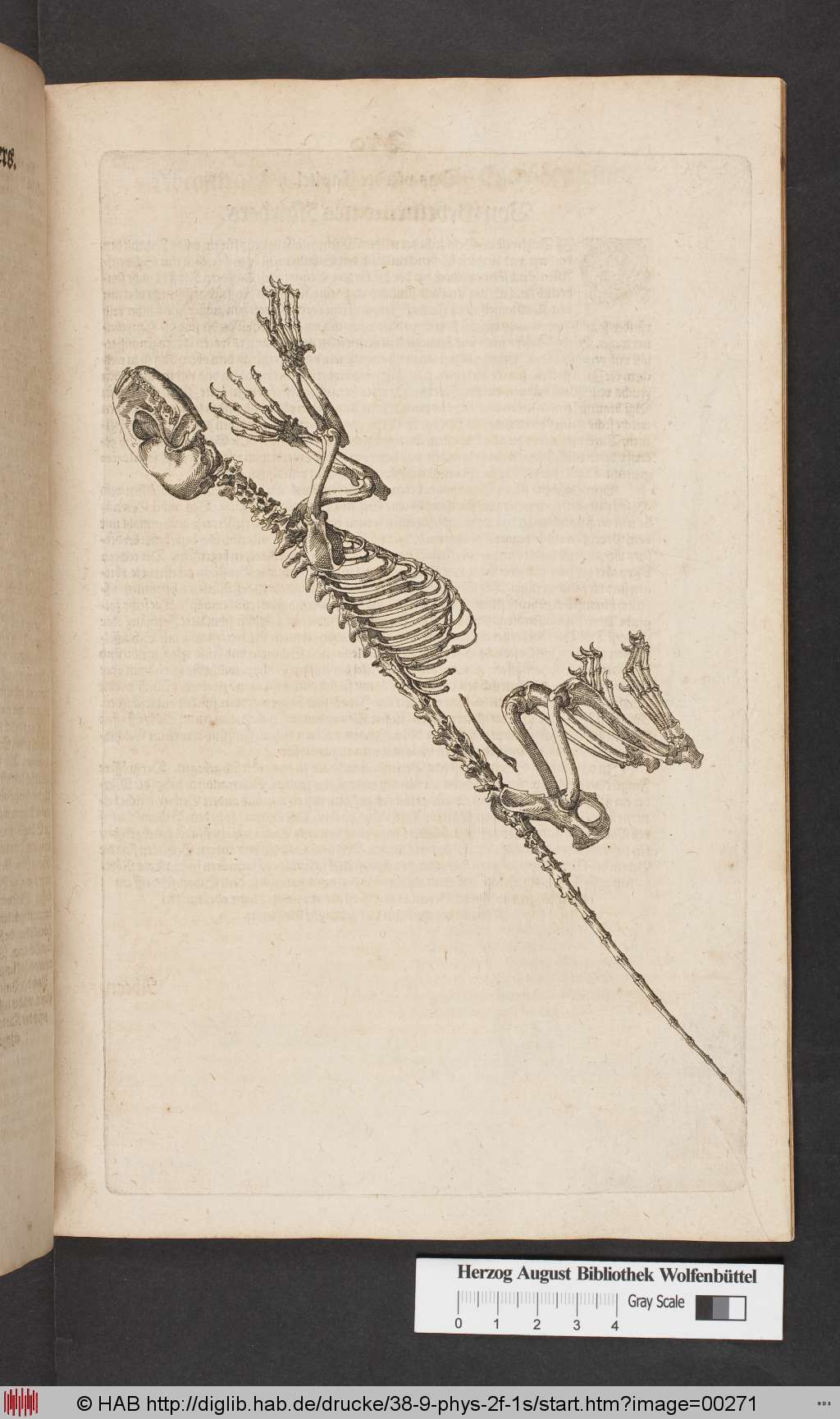 http://diglib.hab.de/drucke/38-9-phys-2f-1s/00271.jpg
