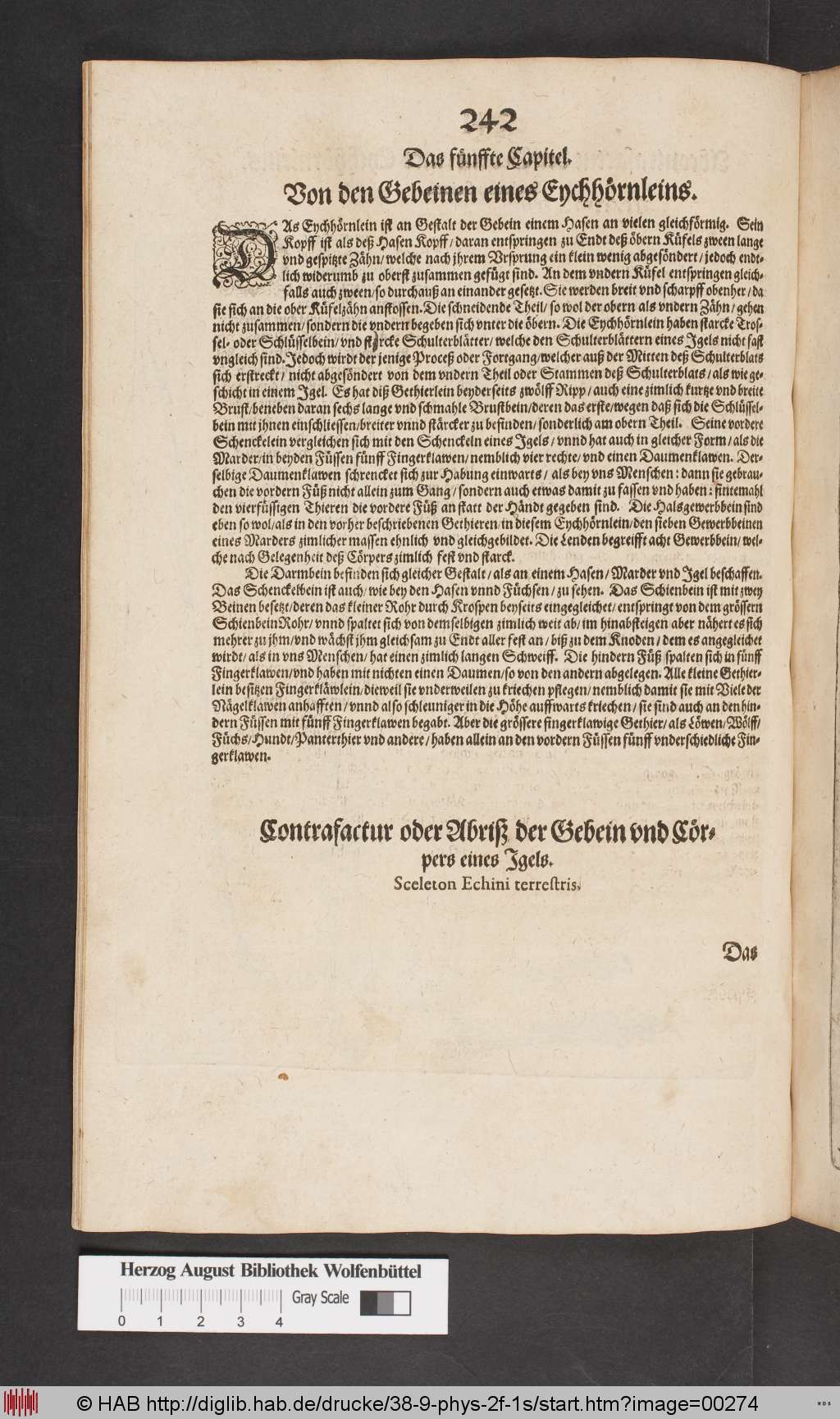 http://diglib.hab.de/drucke/38-9-phys-2f-1s/00274.jpg