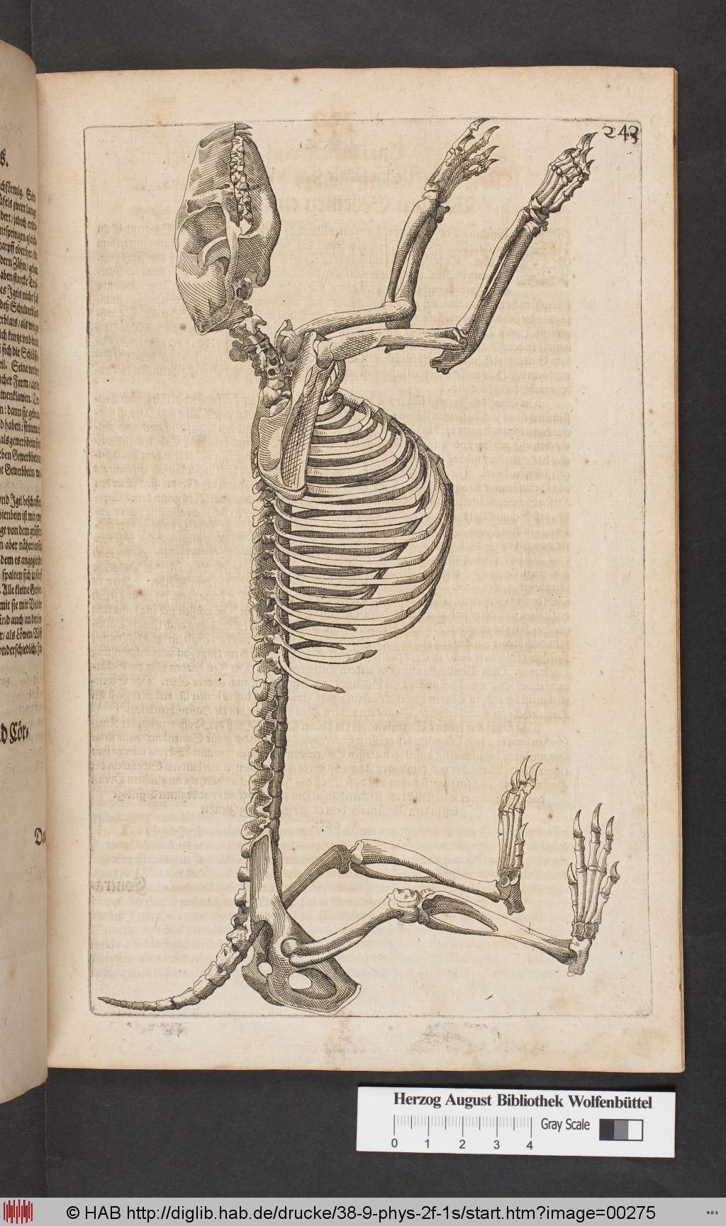 http://diglib.hab.de/drucke/38-9-phys-2f-1s/00275.jpg
