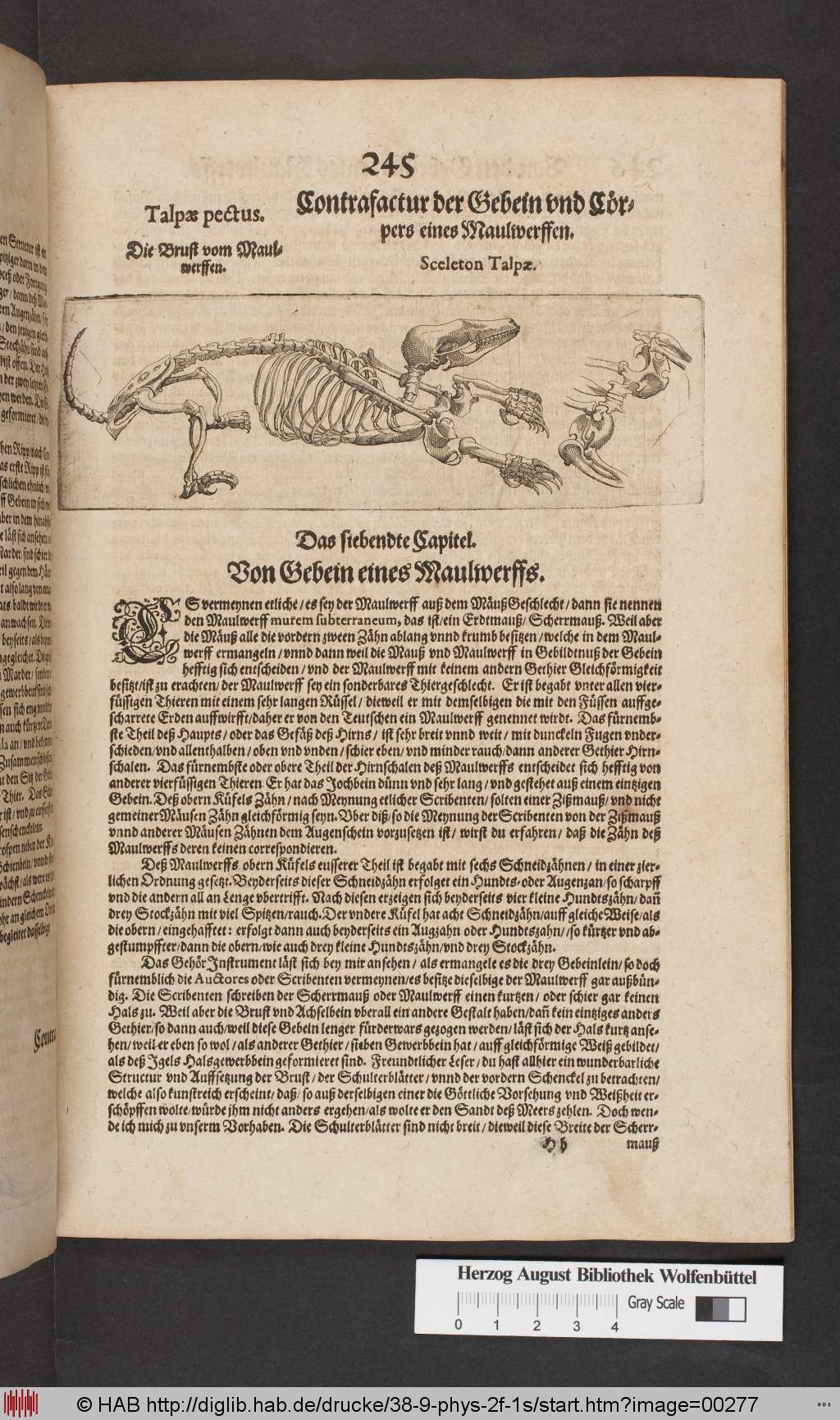 http://diglib.hab.de/drucke/38-9-phys-2f-1s/00277.jpg