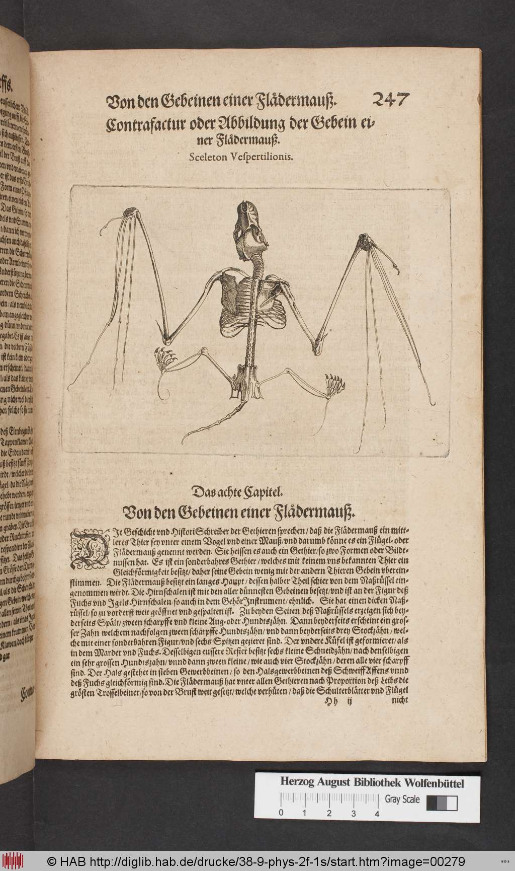 http://diglib.hab.de/drucke/38-9-phys-2f-1s/00279.jpg