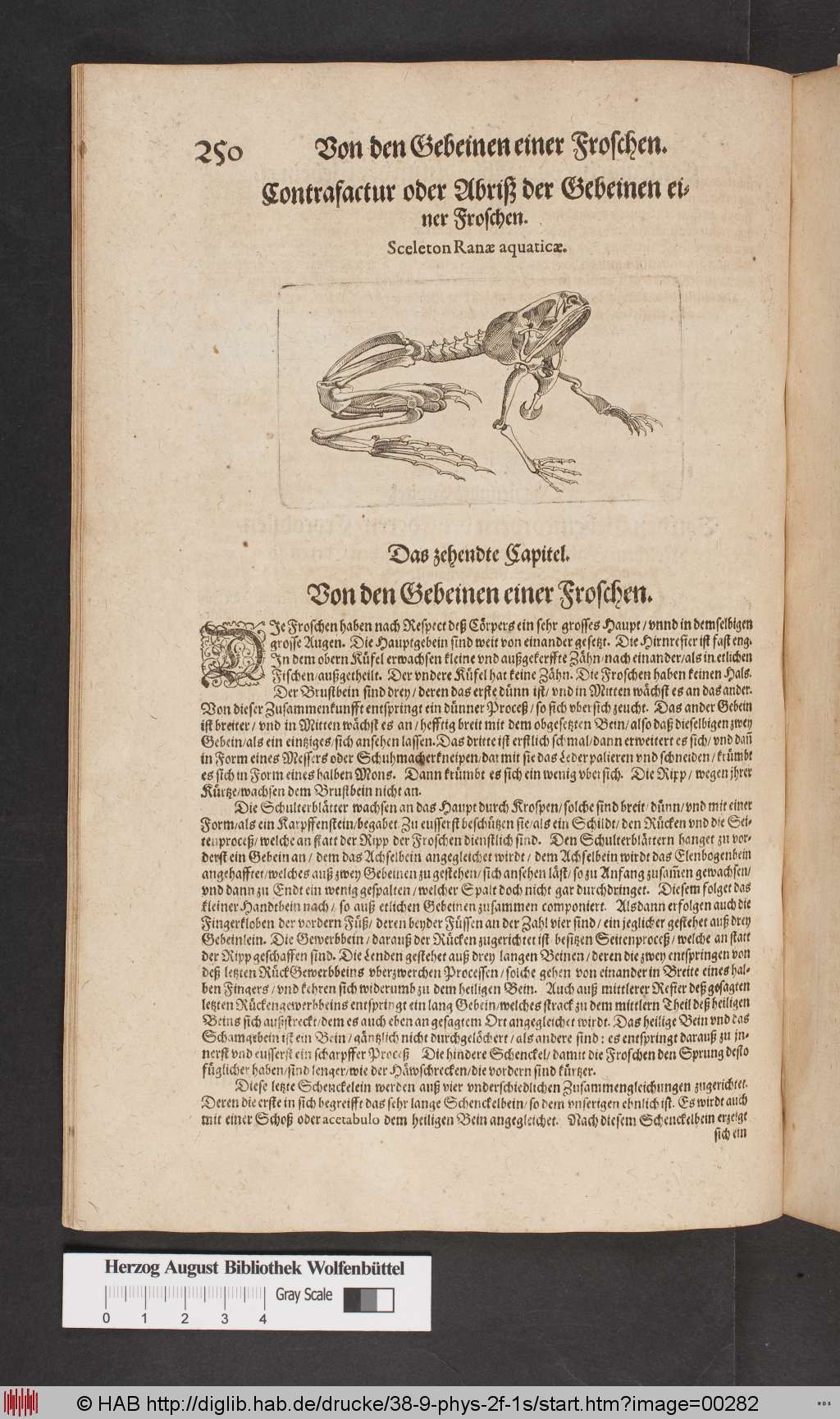 http://diglib.hab.de/drucke/38-9-phys-2f-1s/00282.jpg
