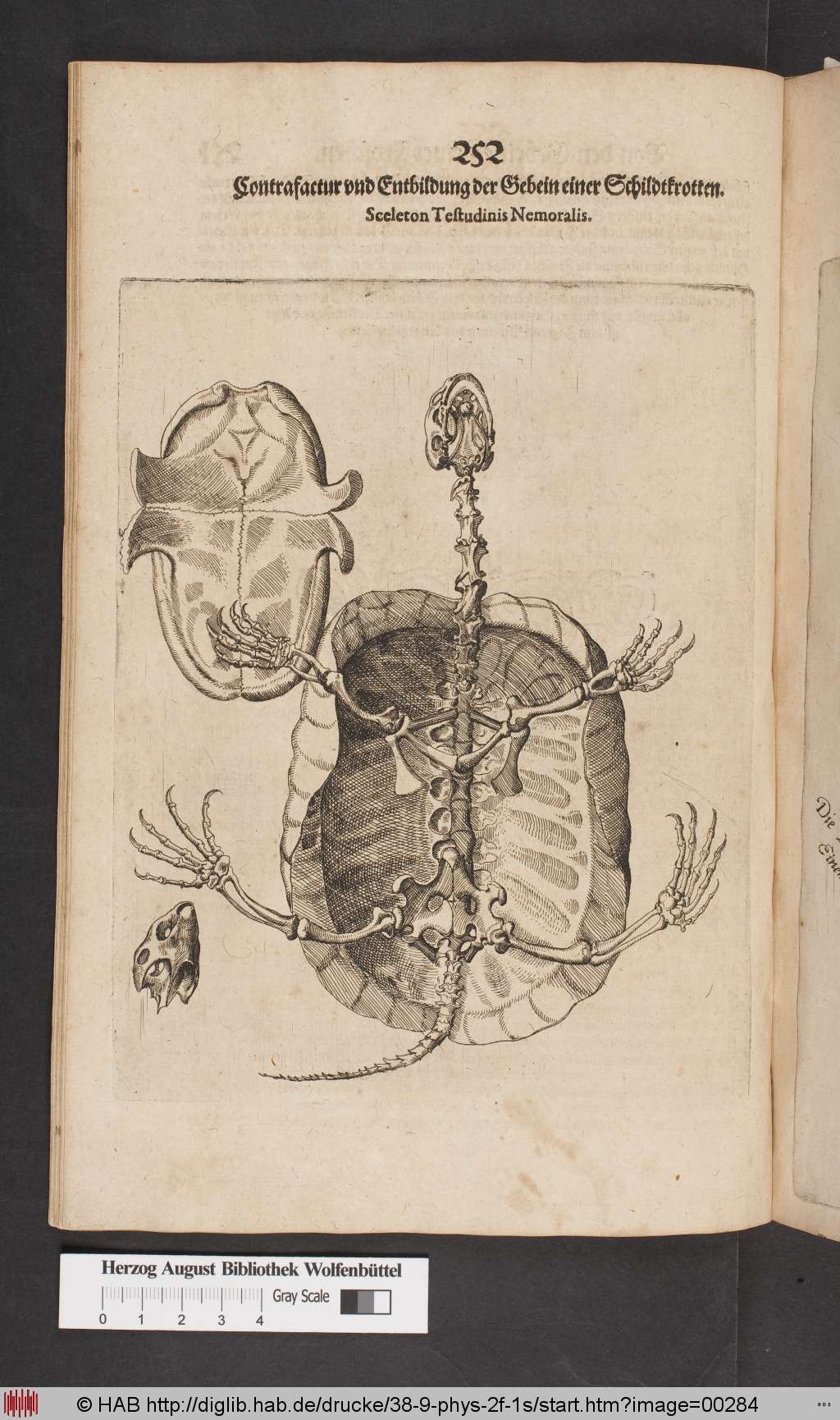 http://diglib.hab.de/drucke/38-9-phys-2f-1s/00284.jpg