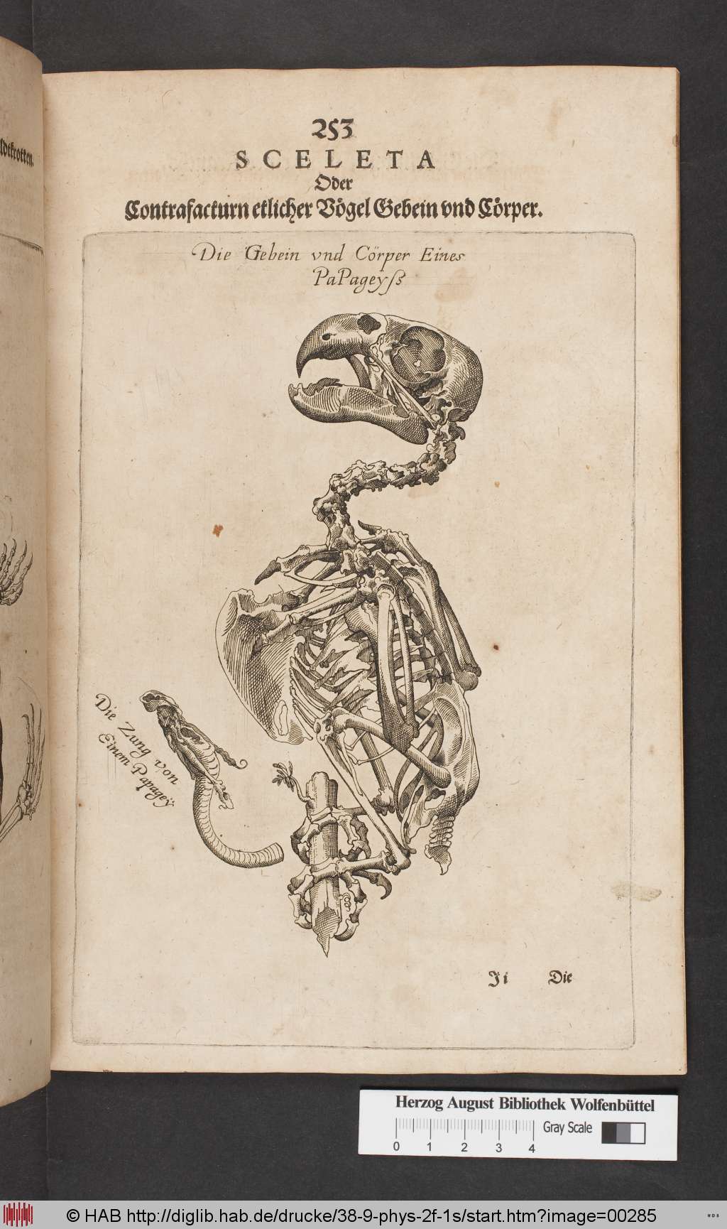 http://diglib.hab.de/drucke/38-9-phys-2f-1s/00285.jpg
