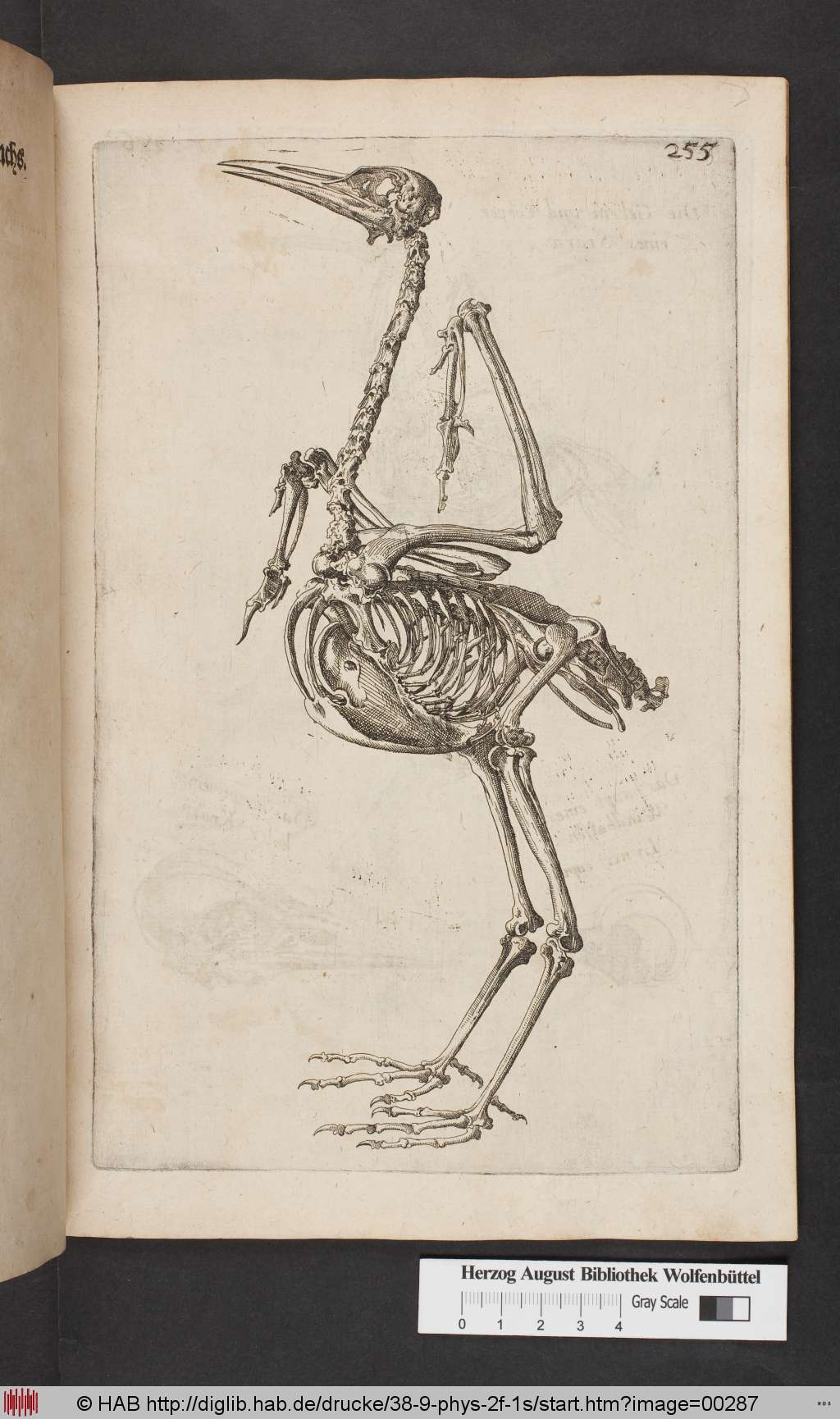 http://diglib.hab.de/drucke/38-9-phys-2f-1s/00287.jpg