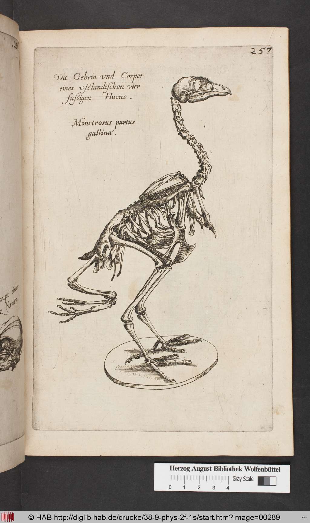 http://diglib.hab.de/drucke/38-9-phys-2f-1s/00289.jpg