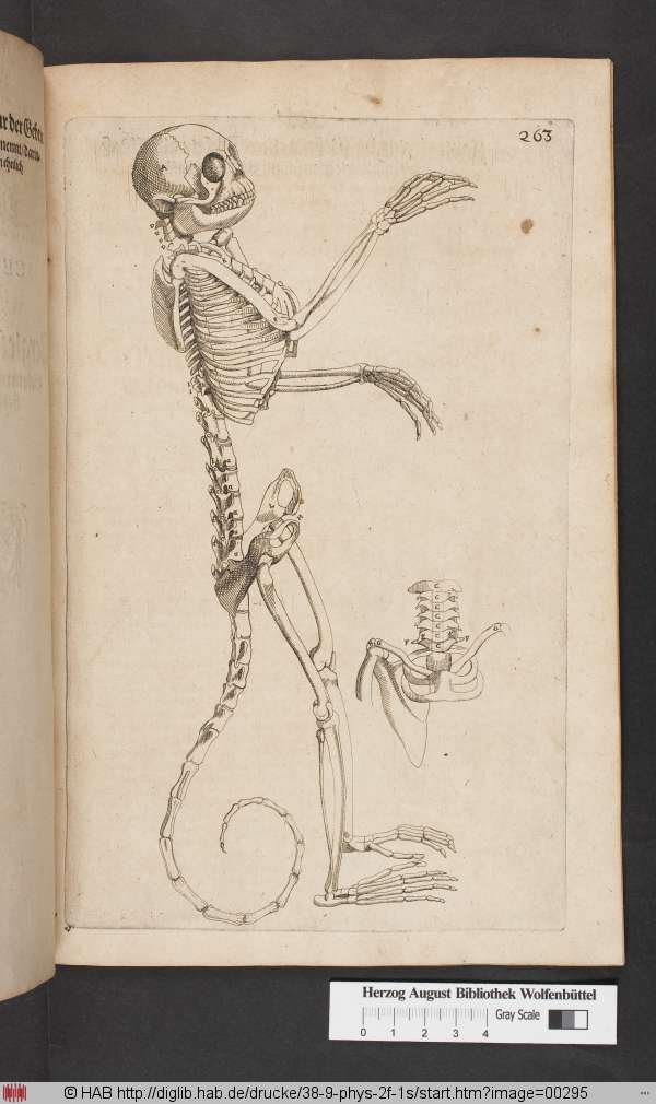 http://diglib.hab.de/drucke/38-9-phys-2f-1s/min/00295.jpg
