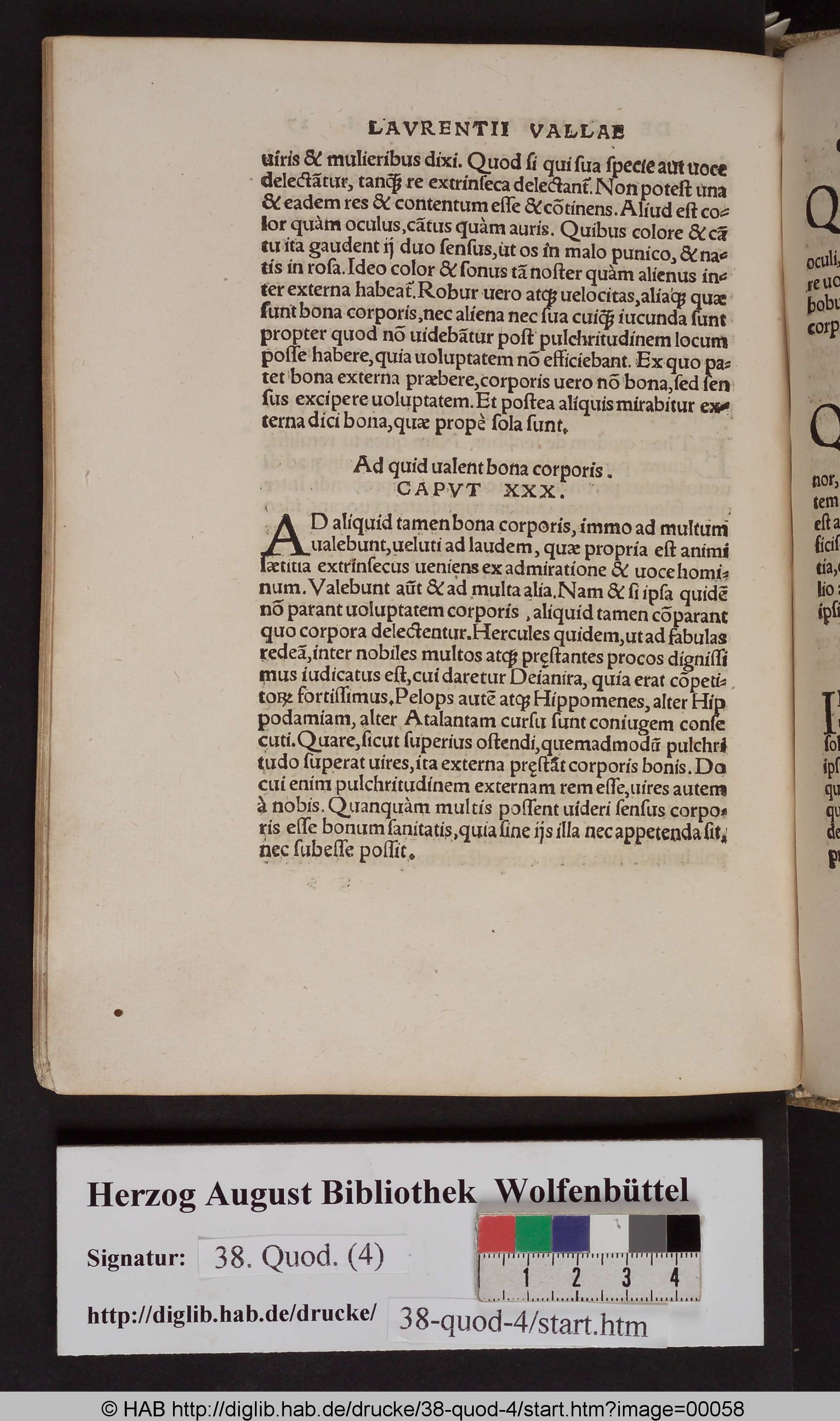 http://diglib.hab.de/drucke/38-quod-4/max/00058.jpg