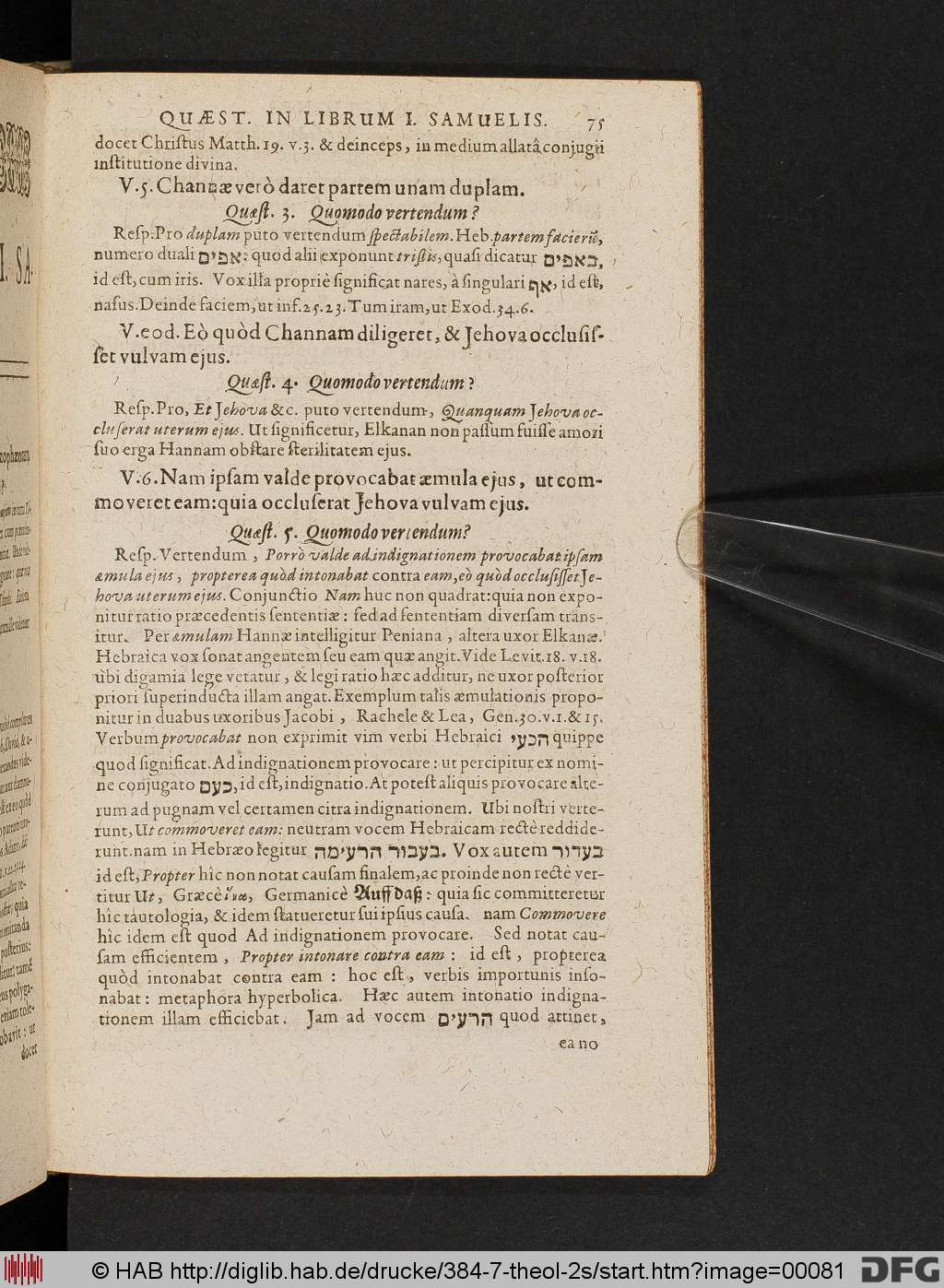 http://diglib.hab.de/drucke/384-7-theol-2s/00081.jpg
