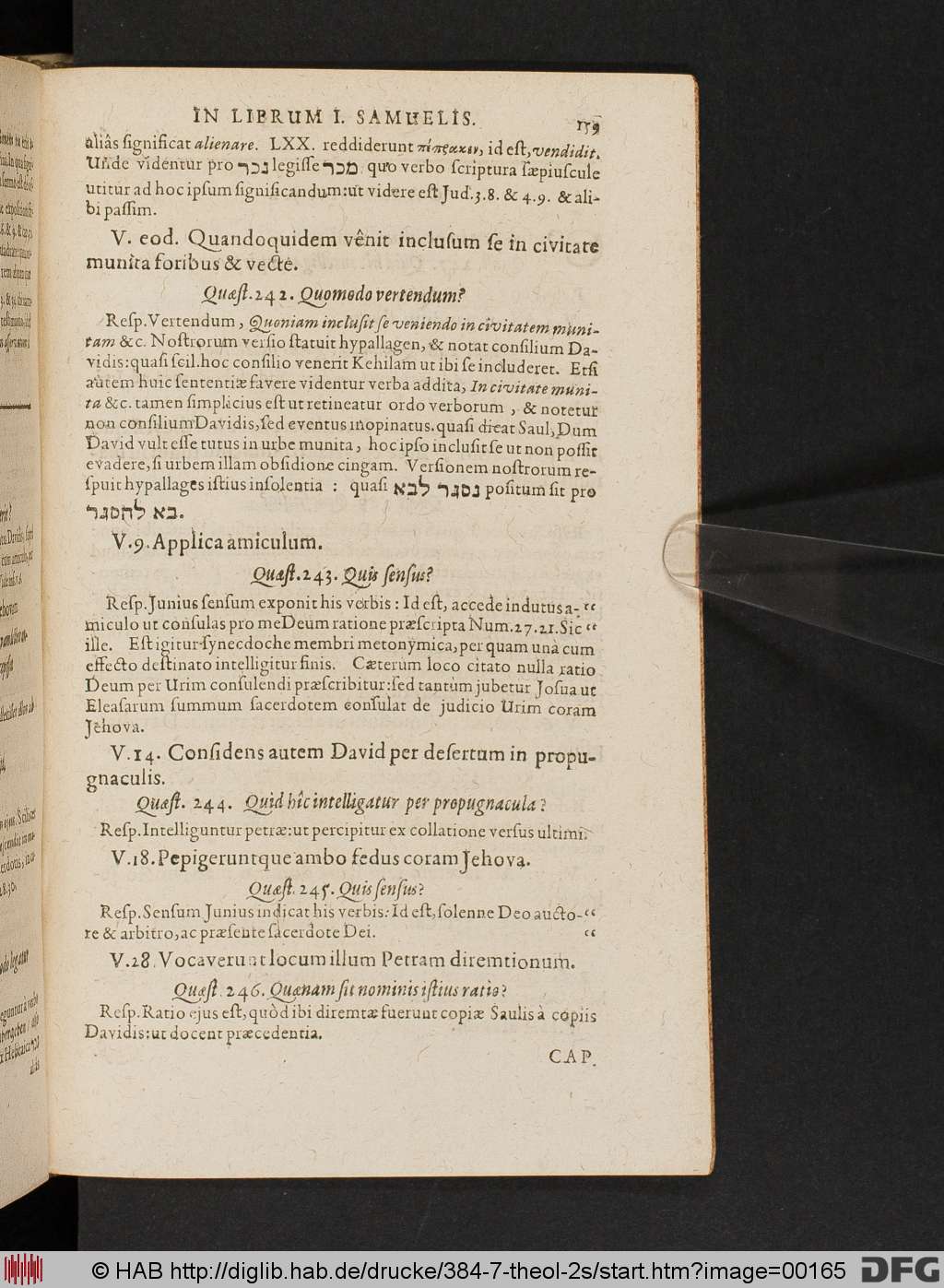 http://diglib.hab.de/drucke/384-7-theol-2s/00165.jpg