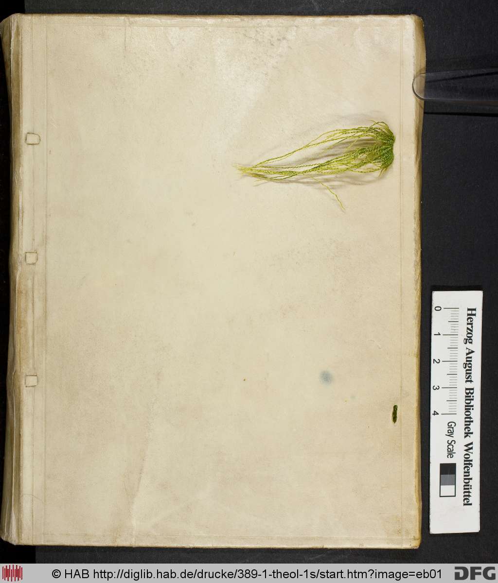 http://diglib.hab.de/drucke/389-1-theol-1s/eb01.jpg