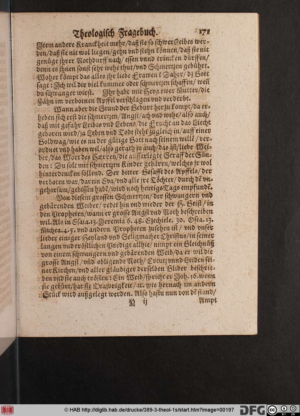 http://diglib.hab.de/drucke/389-3-theol-1s/00197.jpg