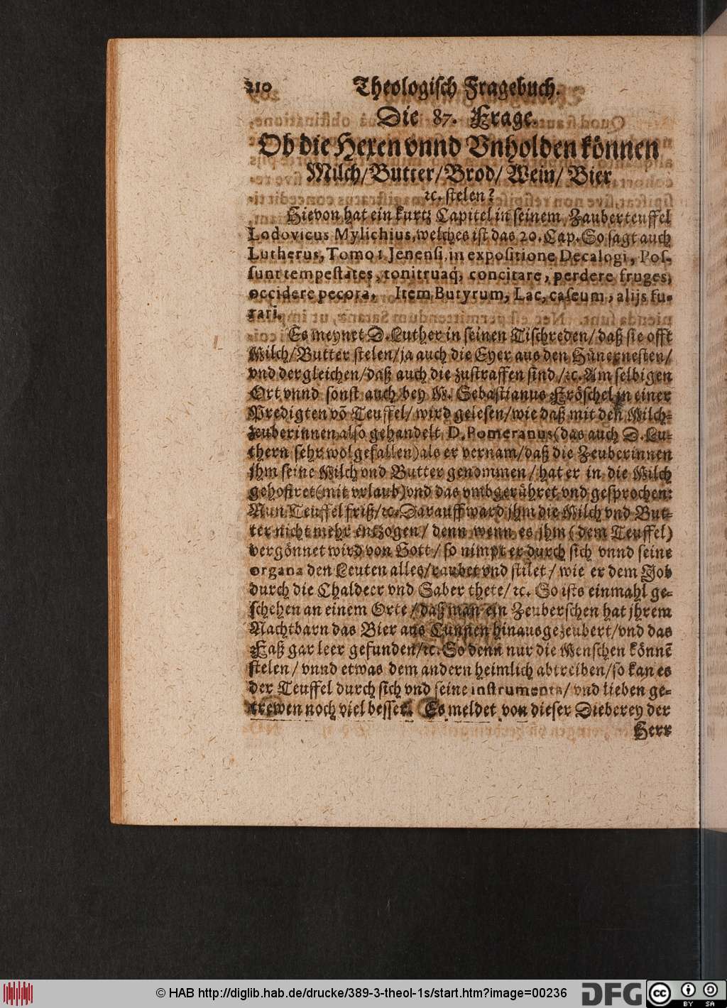 http://diglib.hab.de/drucke/389-3-theol-1s/00236.jpg