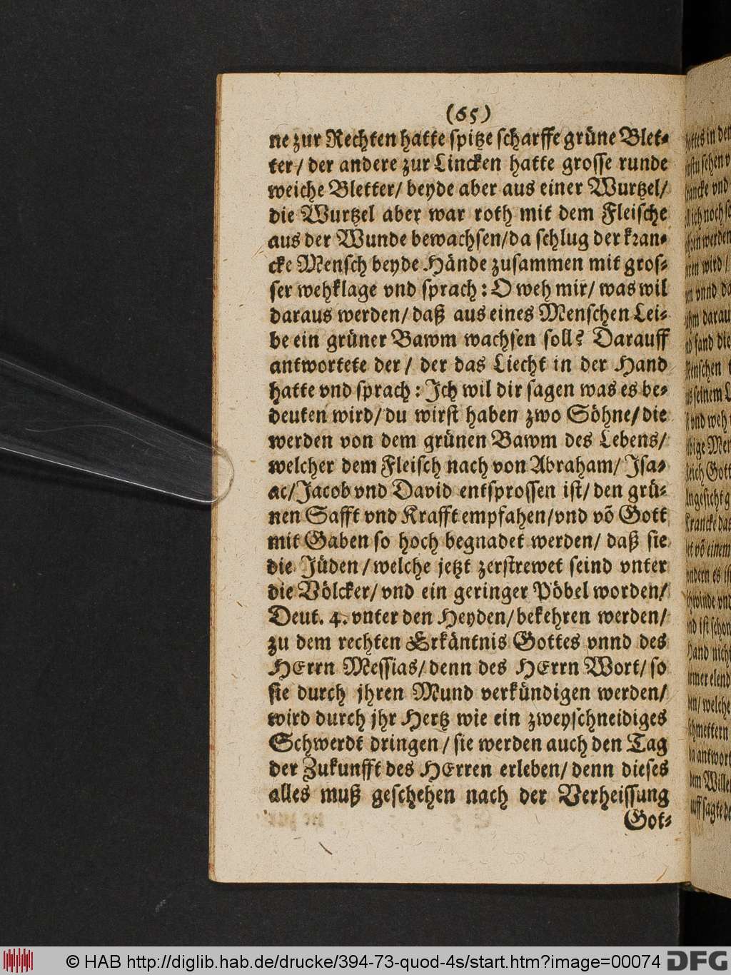 http://diglib.hab.de/drucke/394-73-quod-4s/00074.jpg