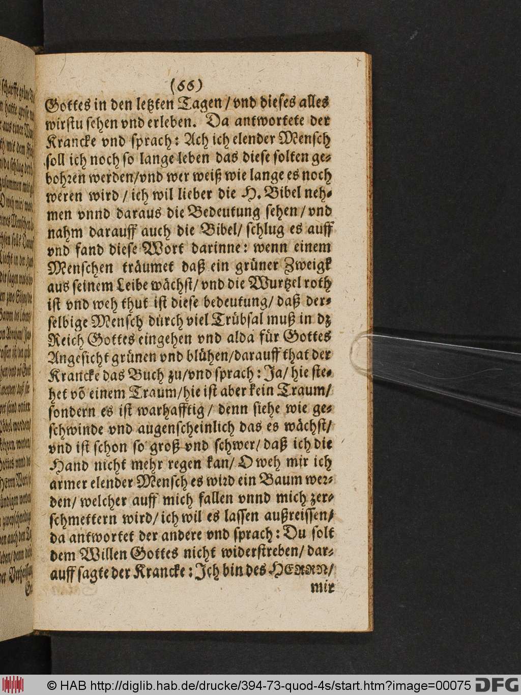 http://diglib.hab.de/drucke/394-73-quod-4s/00075.jpg