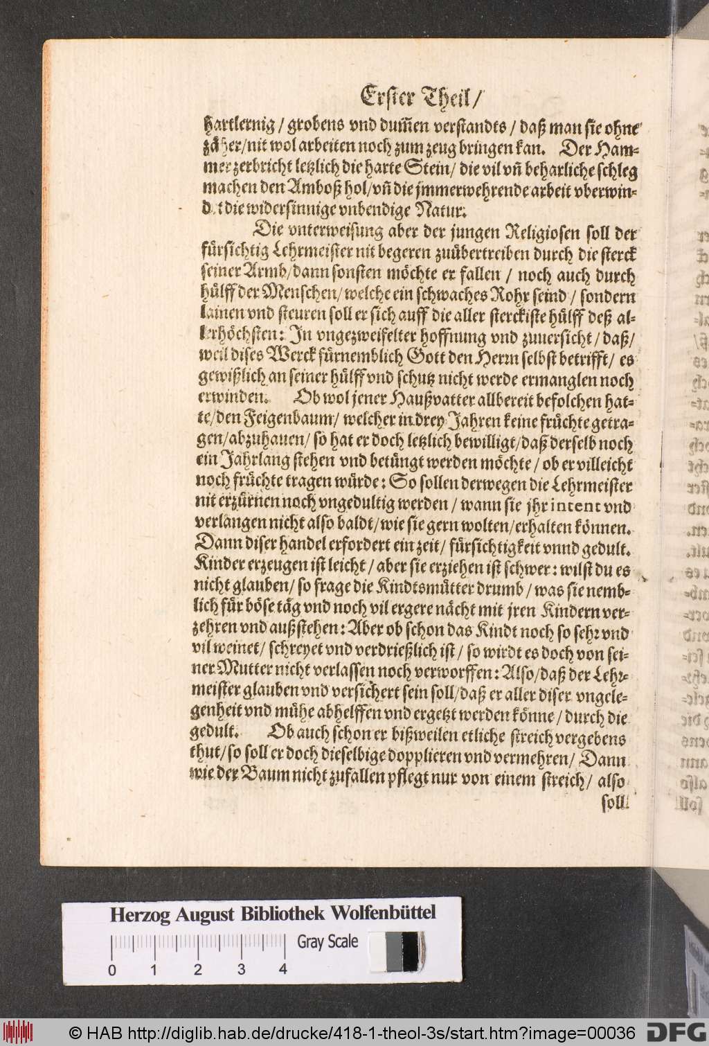 http://diglib.hab.de/drucke/418-1-theol-3s/00036.jpg