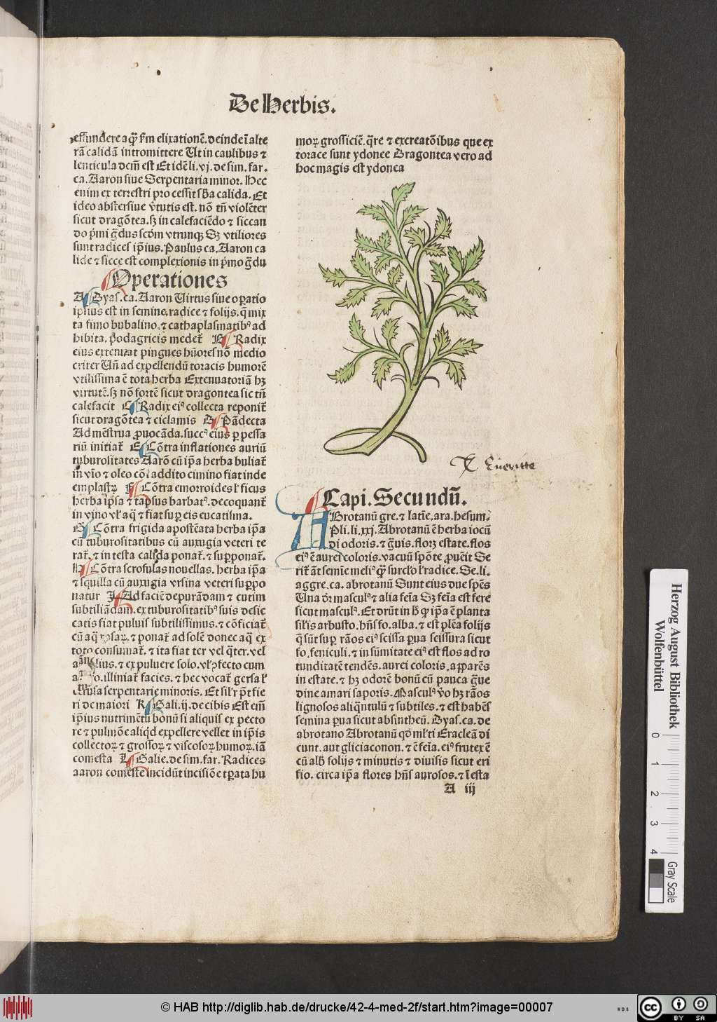 http://diglib.hab.de/drucke/42-4-med-2f/00007.jpg