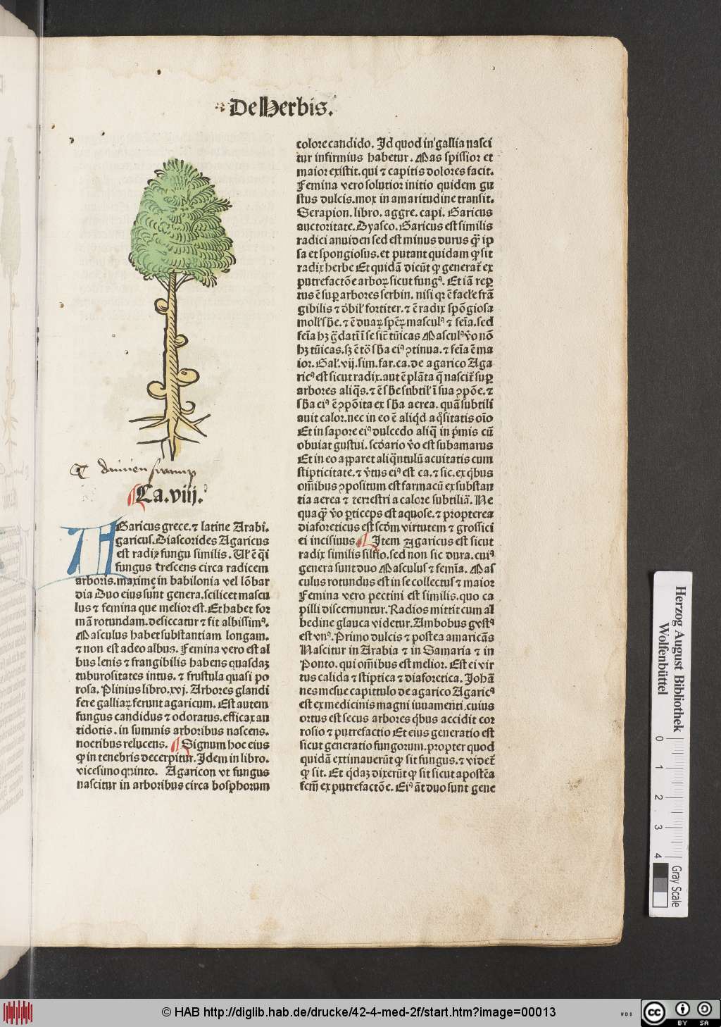 http://diglib.hab.de/drucke/42-4-med-2f/00013.jpg