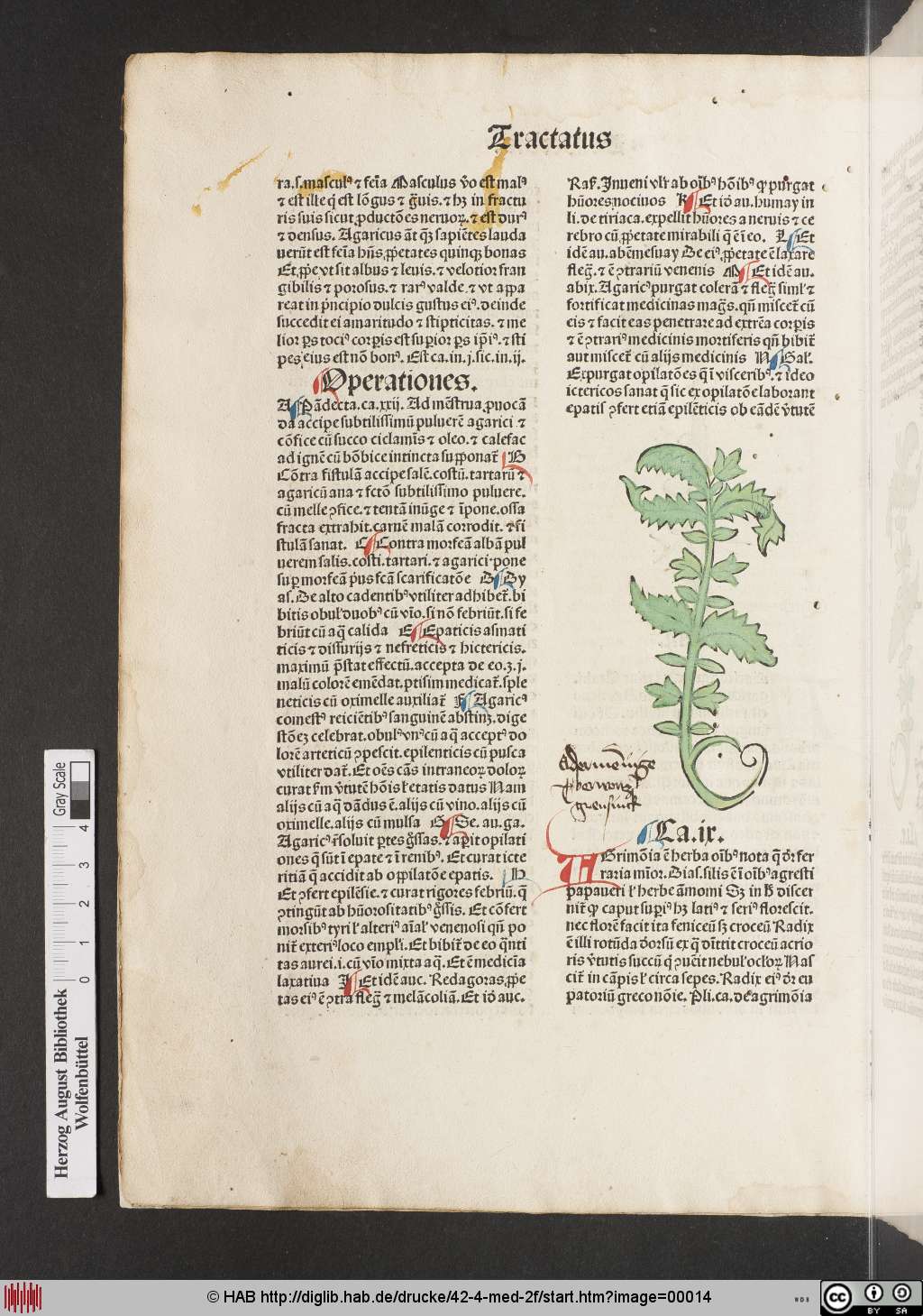 http://diglib.hab.de/drucke/42-4-med-2f/00014.jpg