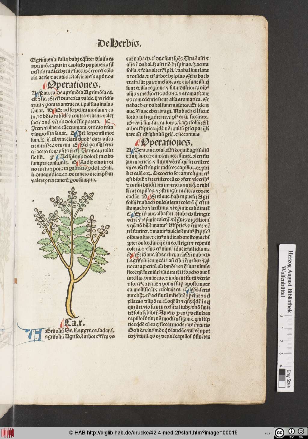 http://diglib.hab.de/drucke/42-4-med-2f/00015.jpg