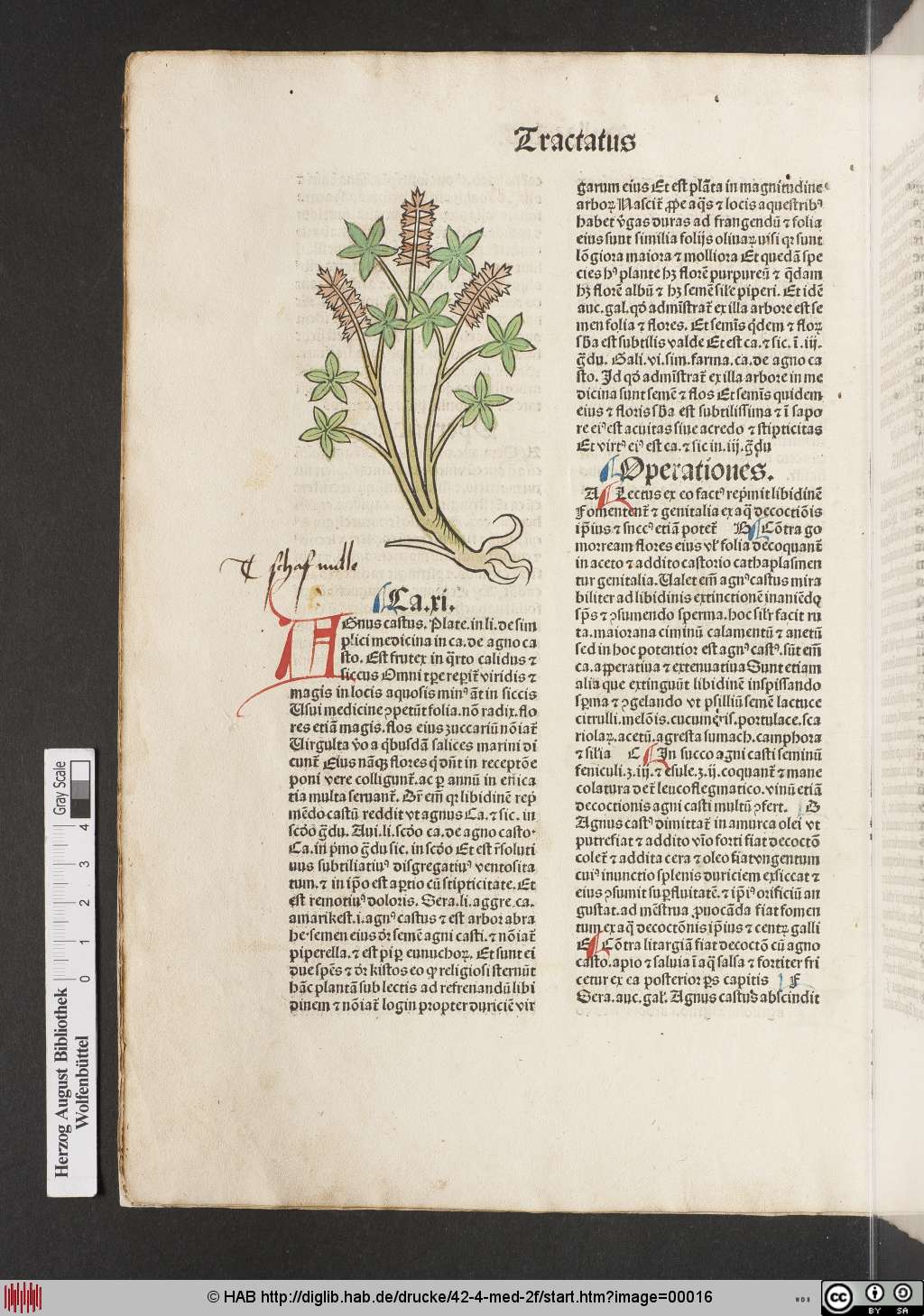 http://diglib.hab.de/drucke/42-4-med-2f/00016.jpg