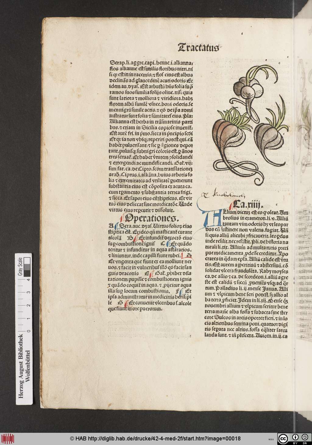 http://diglib.hab.de/drucke/42-4-med-2f/00018.jpg