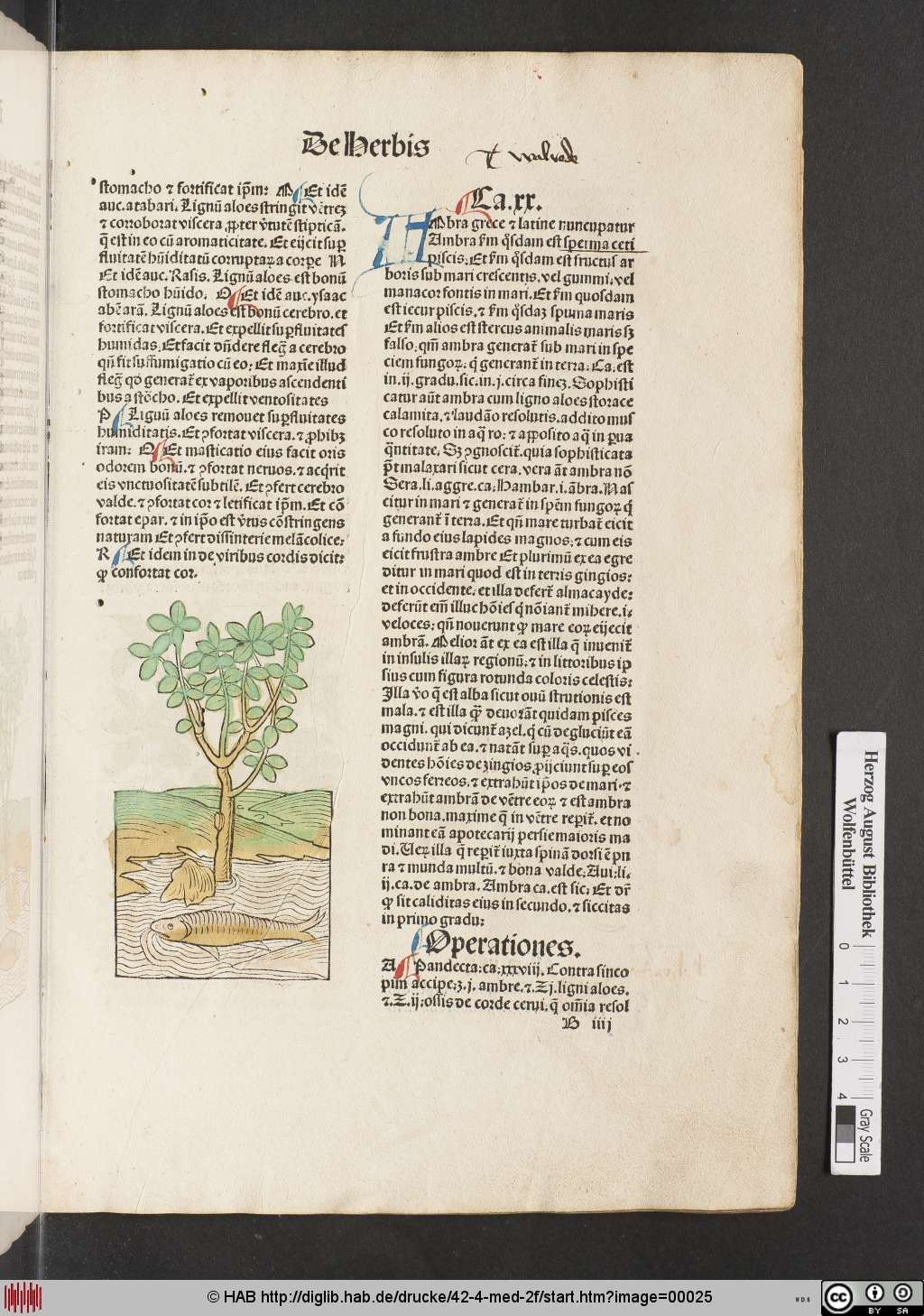 http://diglib.hab.de/drucke/42-4-med-2f/00025.jpg