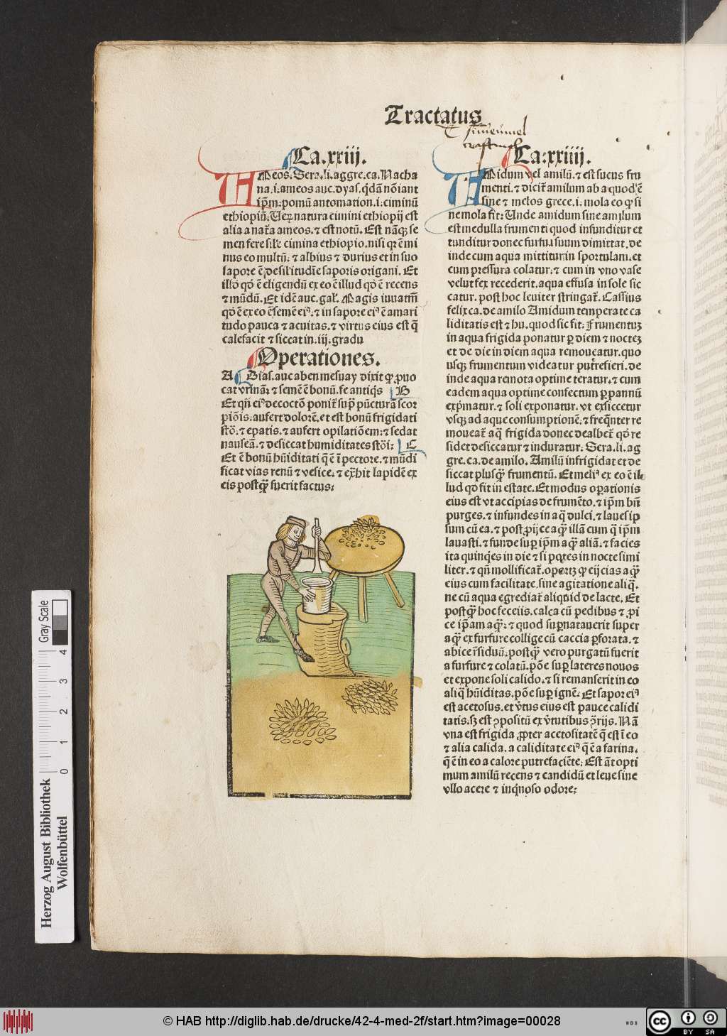 http://diglib.hab.de/drucke/42-4-med-2f/00028.jpg