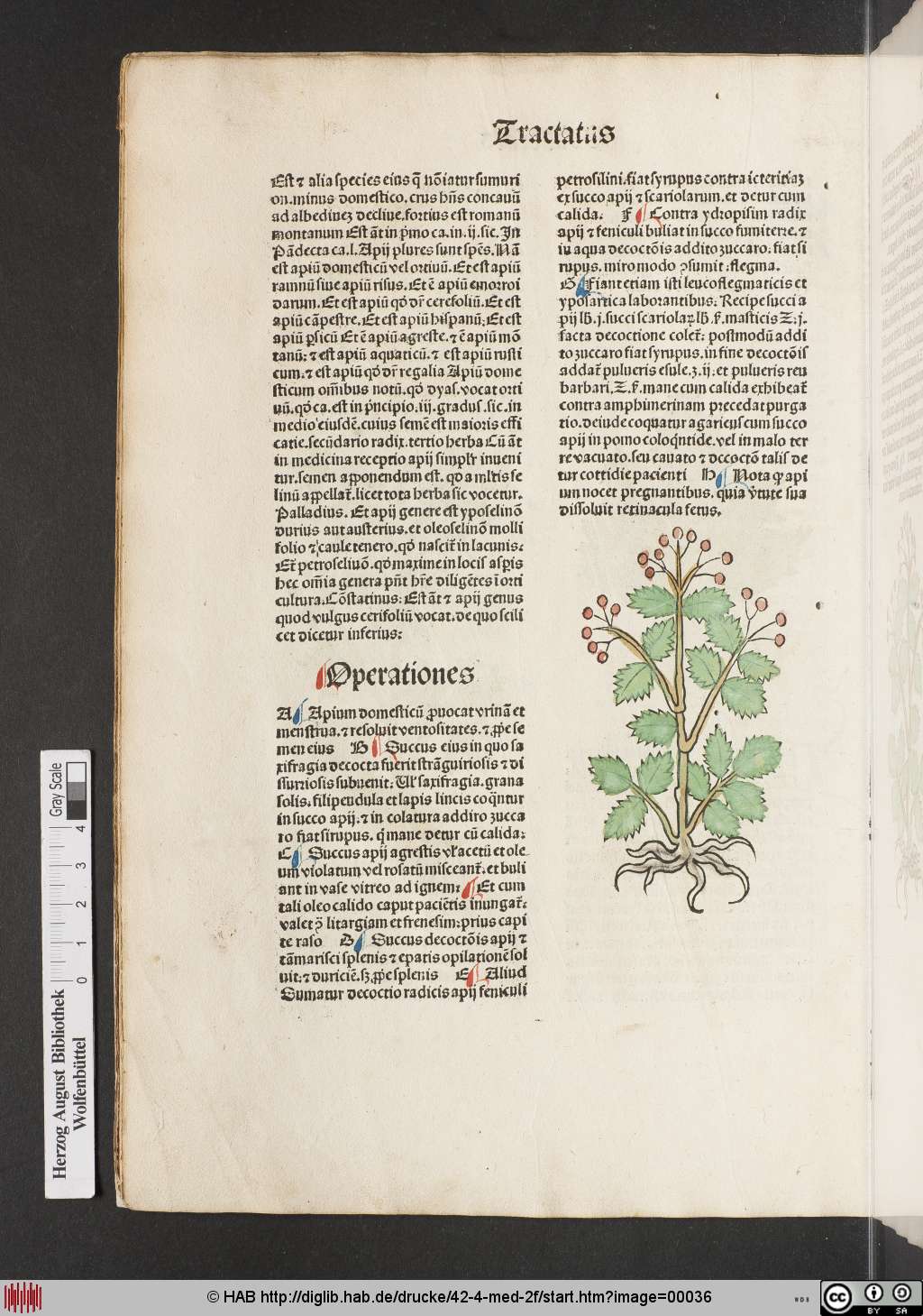 http://diglib.hab.de/drucke/42-4-med-2f/00036.jpg