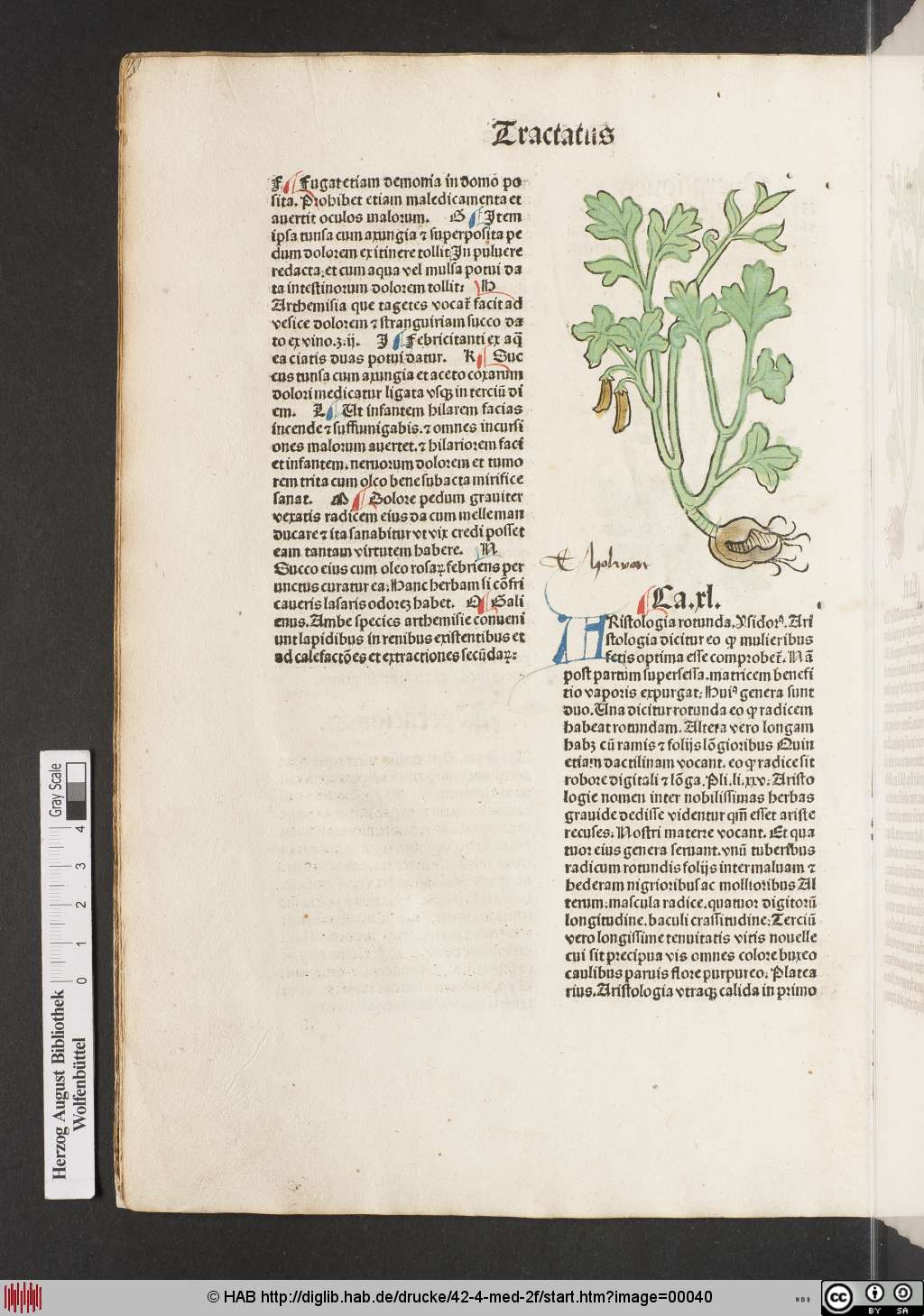 http://diglib.hab.de/drucke/42-4-med-2f/00040.jpg