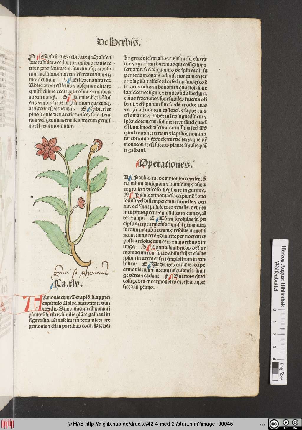 http://diglib.hab.de/drucke/42-4-med-2f/00045.jpg