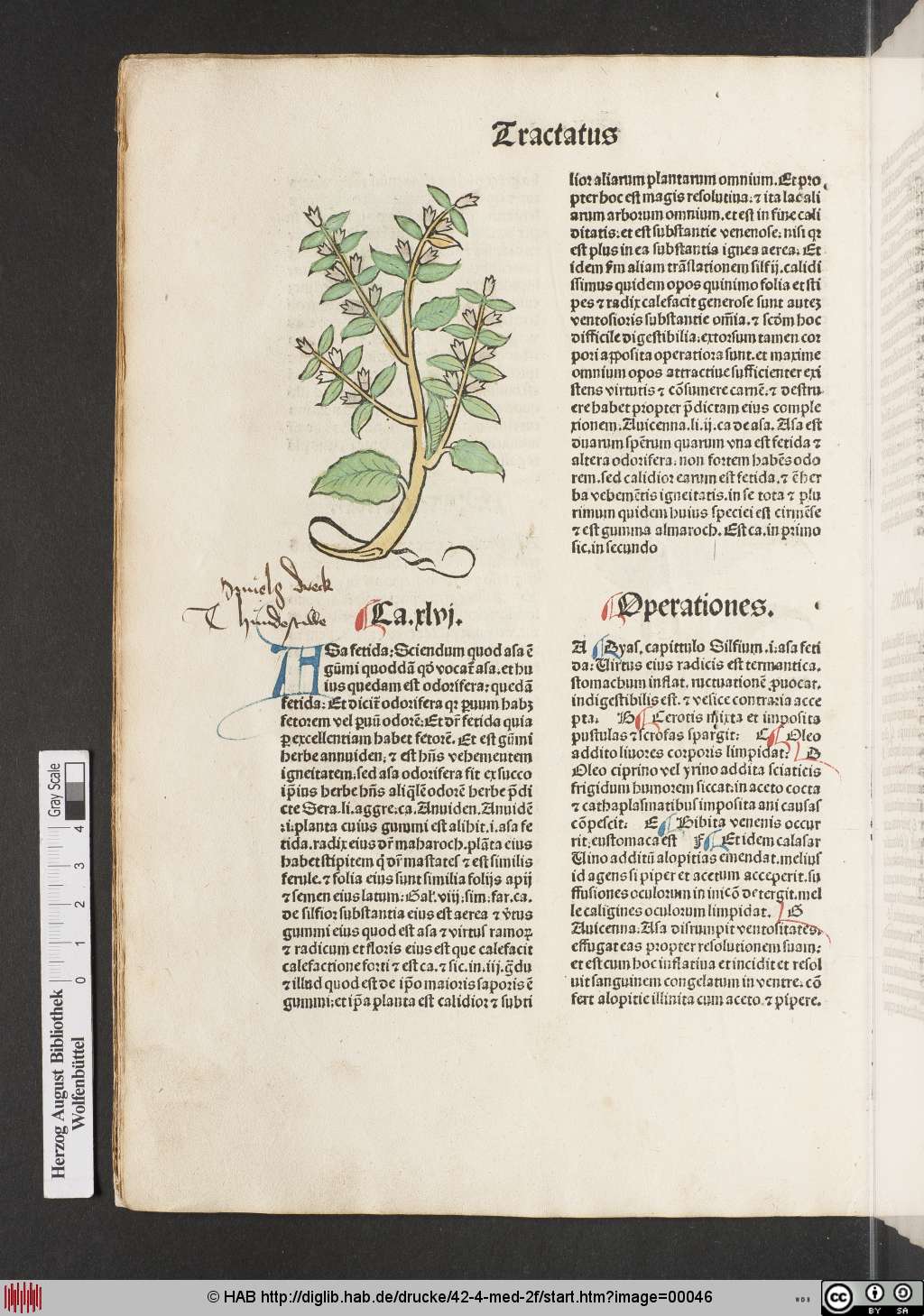 http://diglib.hab.de/drucke/42-4-med-2f/00046.jpg