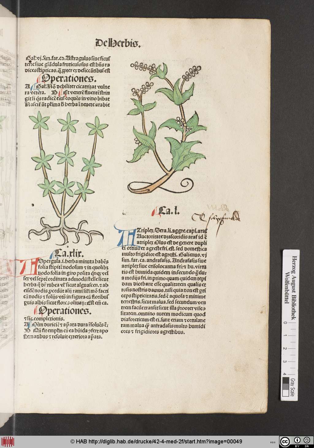 http://diglib.hab.de/drucke/42-4-med-2f/00049.jpg