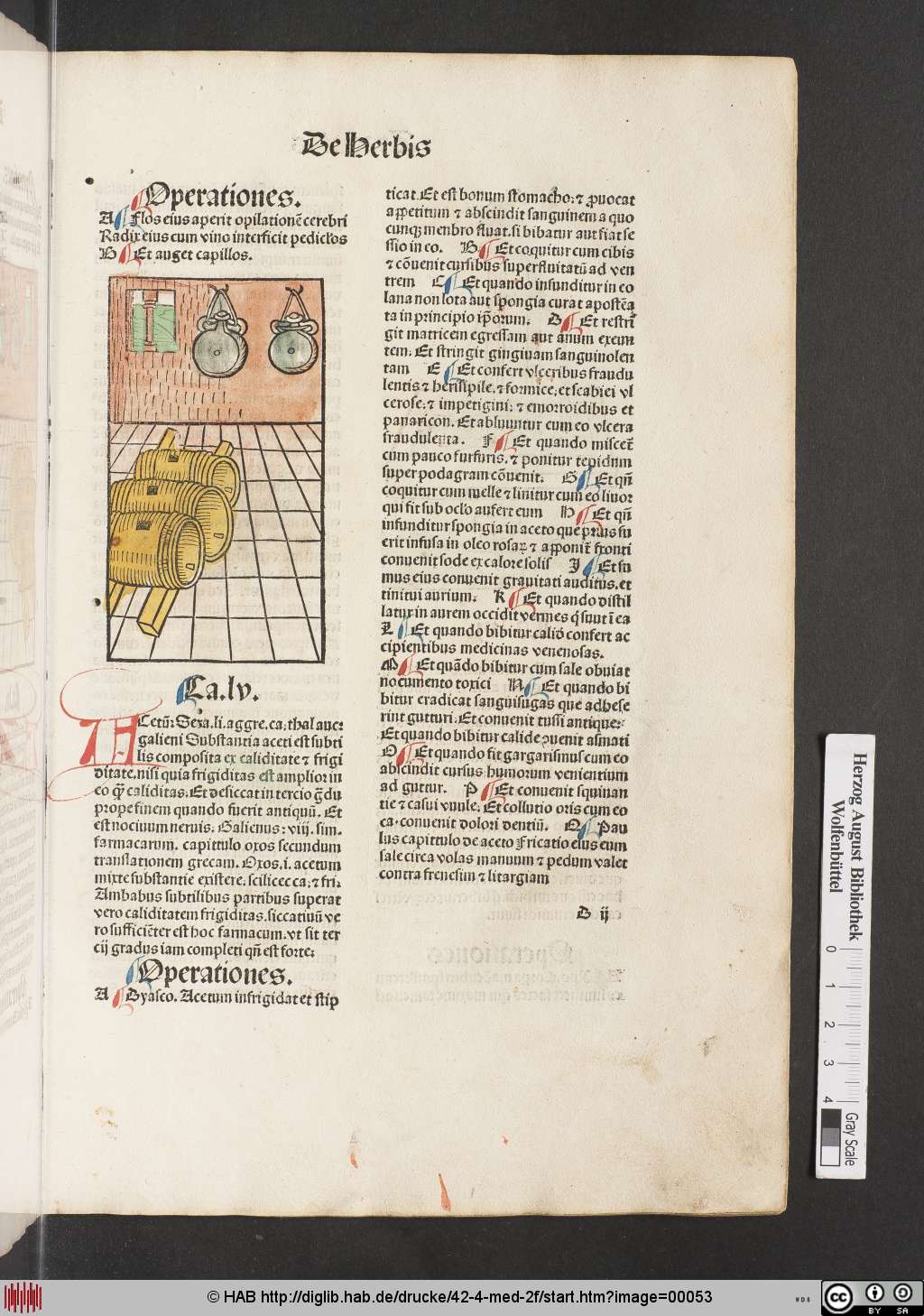 http://diglib.hab.de/drucke/42-4-med-2f/00053.jpg