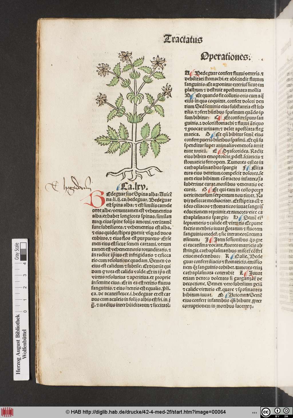 http://diglib.hab.de/drucke/42-4-med-2f/00064.jpg