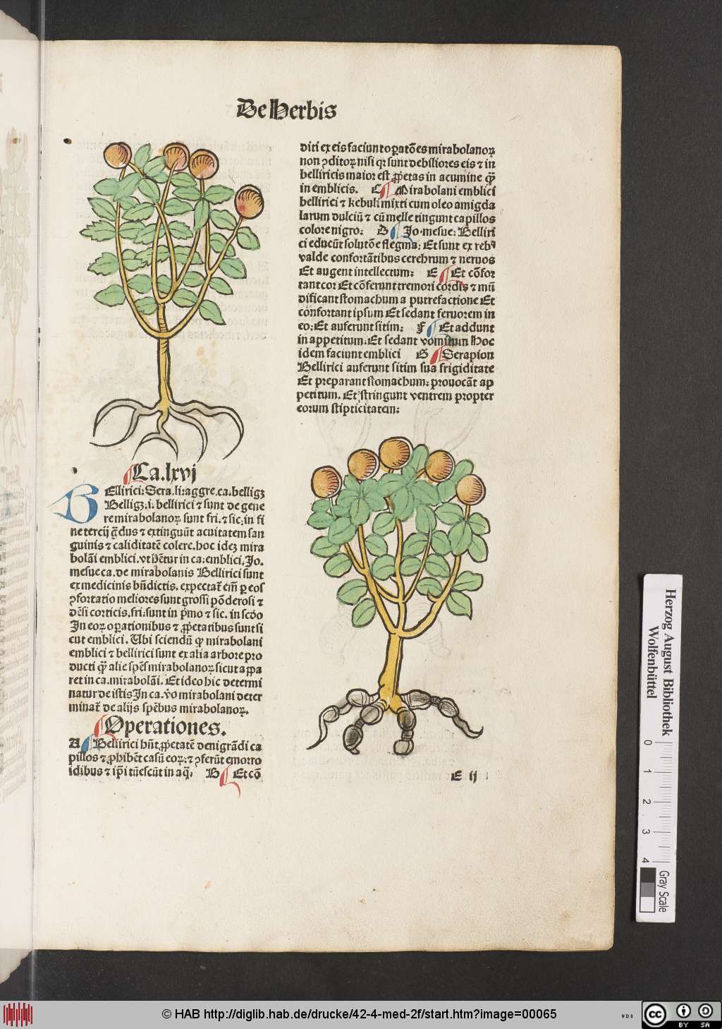 http://diglib.hab.de/drucke/42-4-med-2f/00065.jpg