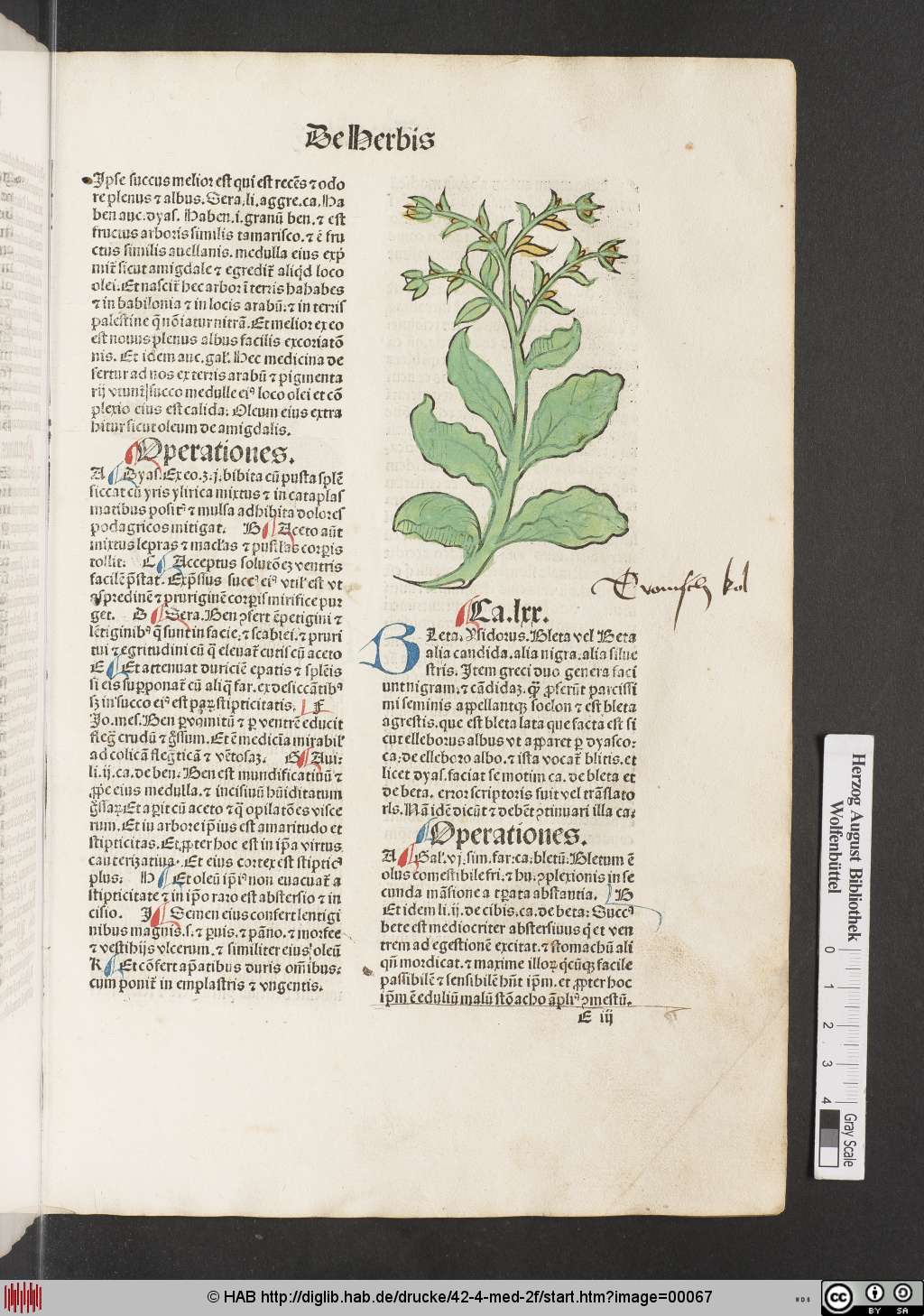 http://diglib.hab.de/drucke/42-4-med-2f/00067.jpg