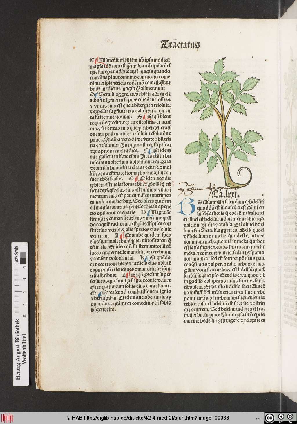 http://diglib.hab.de/drucke/42-4-med-2f/00068.jpg