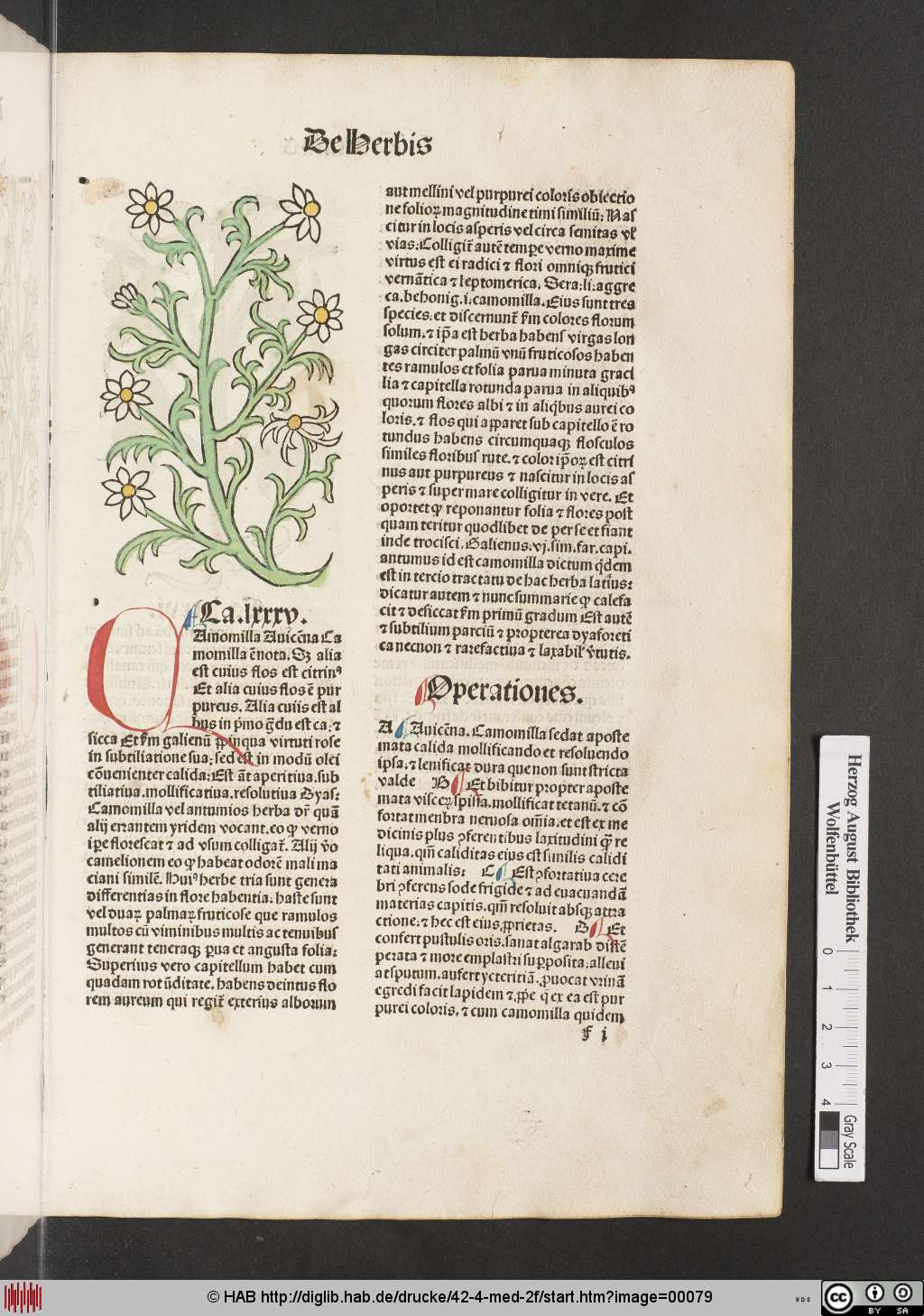 http://diglib.hab.de/drucke/42-4-med-2f/00079.jpg