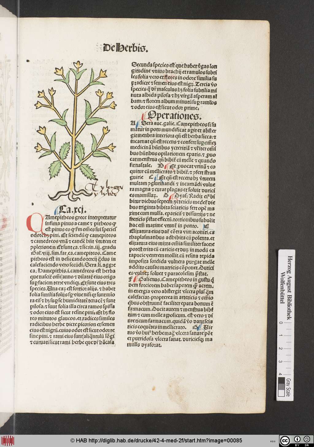 http://diglib.hab.de/drucke/42-4-med-2f/00085.jpg