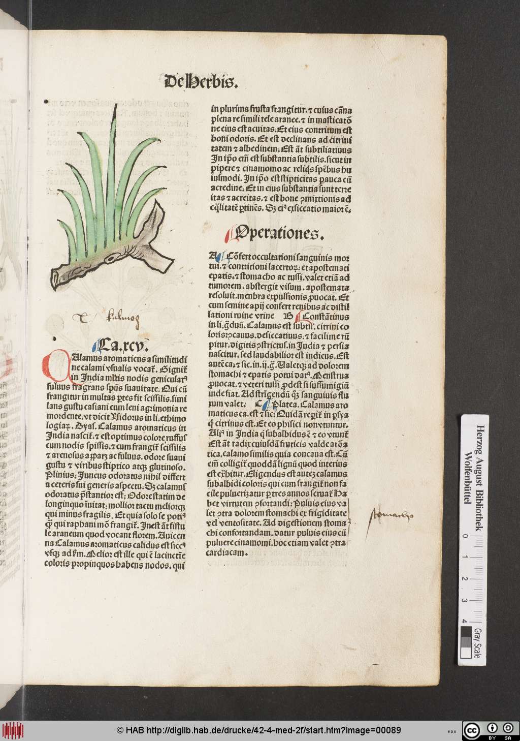 http://diglib.hab.de/drucke/42-4-med-2f/00089.jpg